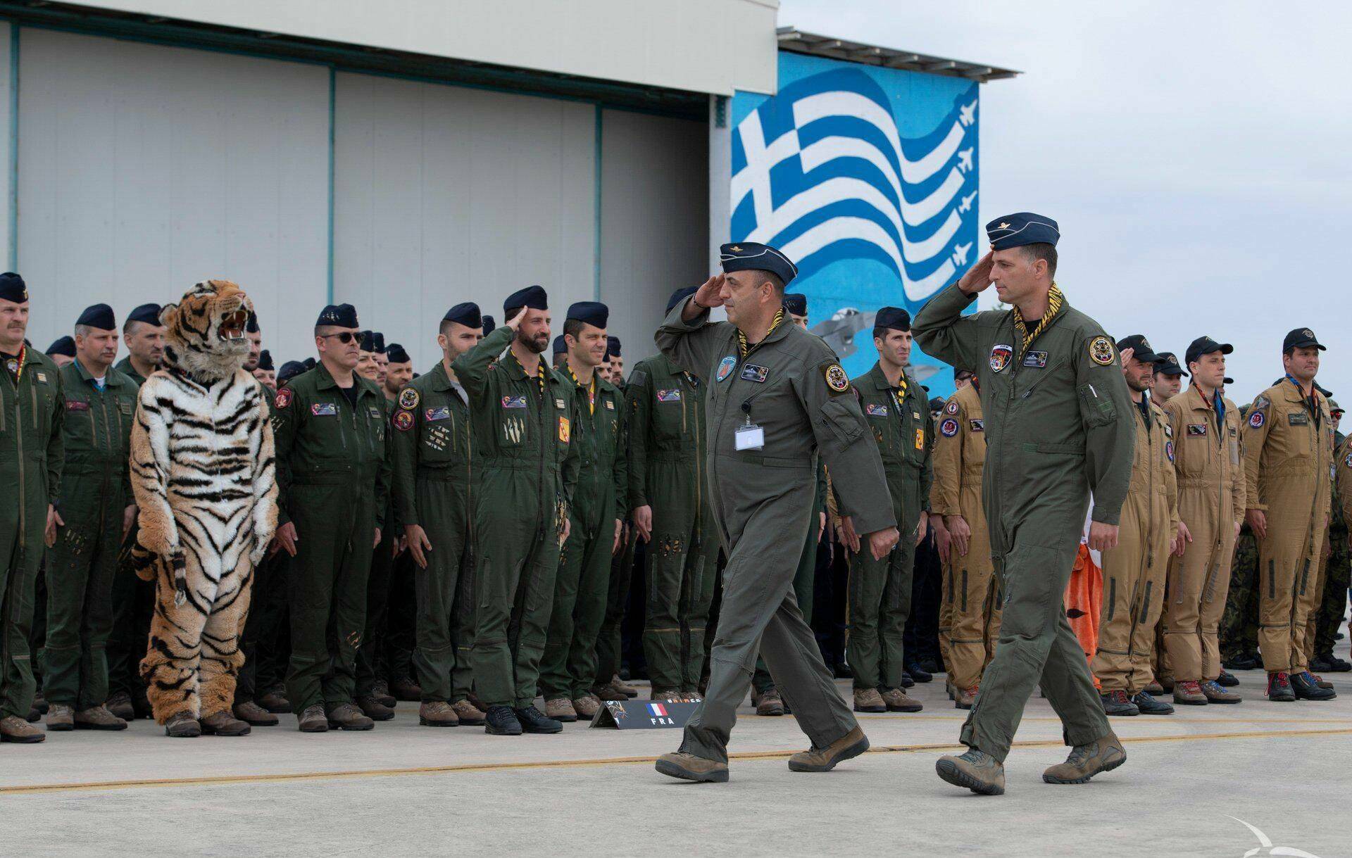 I'm afraid of the Greeks... - Greece, Tiger, Air force, Costume