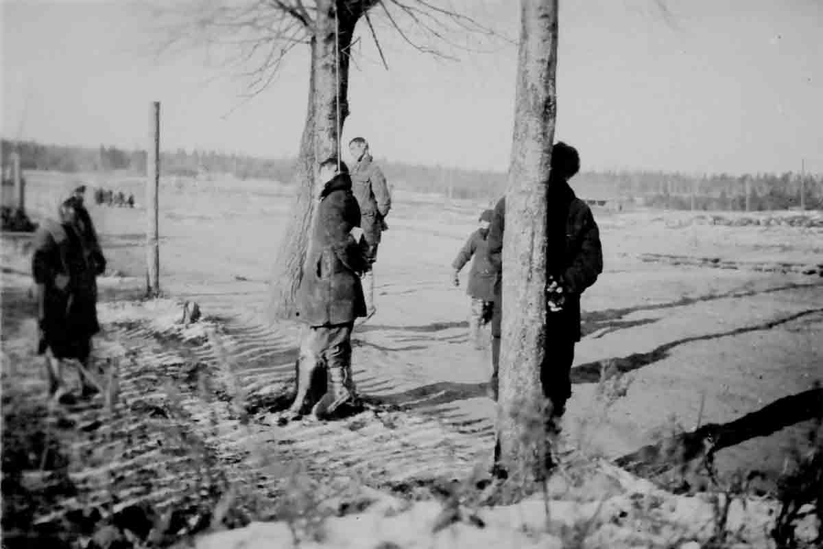 Отрывки из фронтовых писем Фрица - Великая Отечественная война, Нацизм, История СССР, Длиннопост