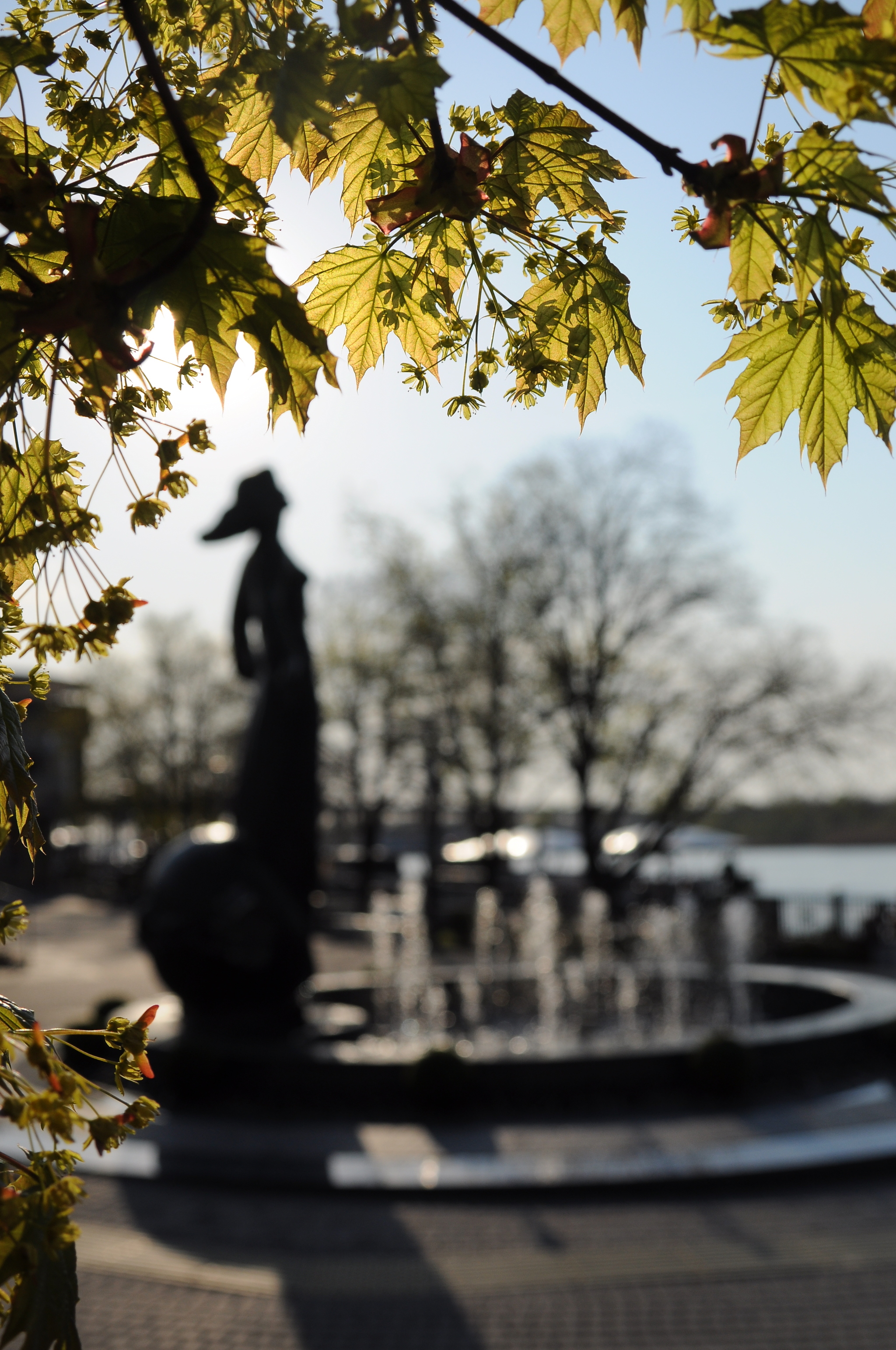 Maple and Rostovchanka. - My, Rostov-on-Don, The photo, Sculpture, Fountain, Spring