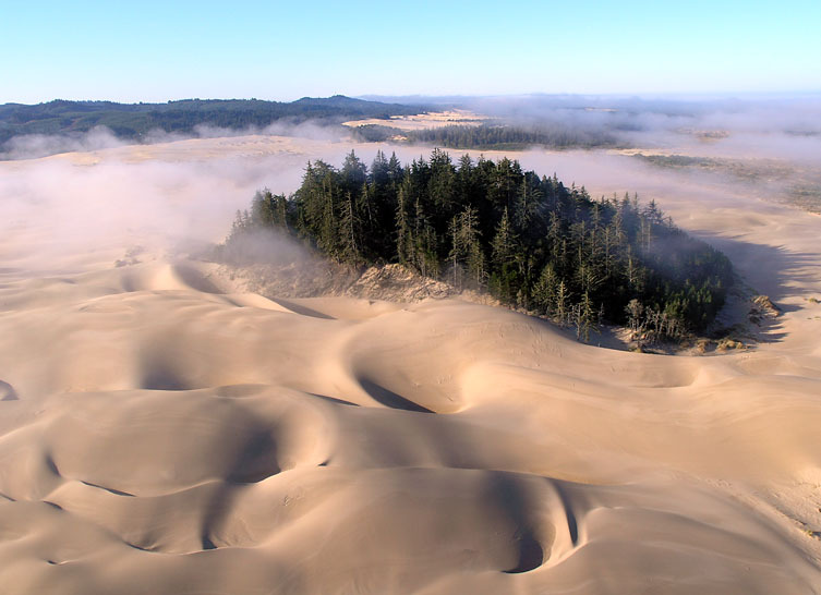 Frank Herbert's Dune: How Water, Revolution and Oil Shaped the Future - My, I advise you to look, I advise you to read, Frank Herbert, Dune, Denis Villeneuve, Longpost