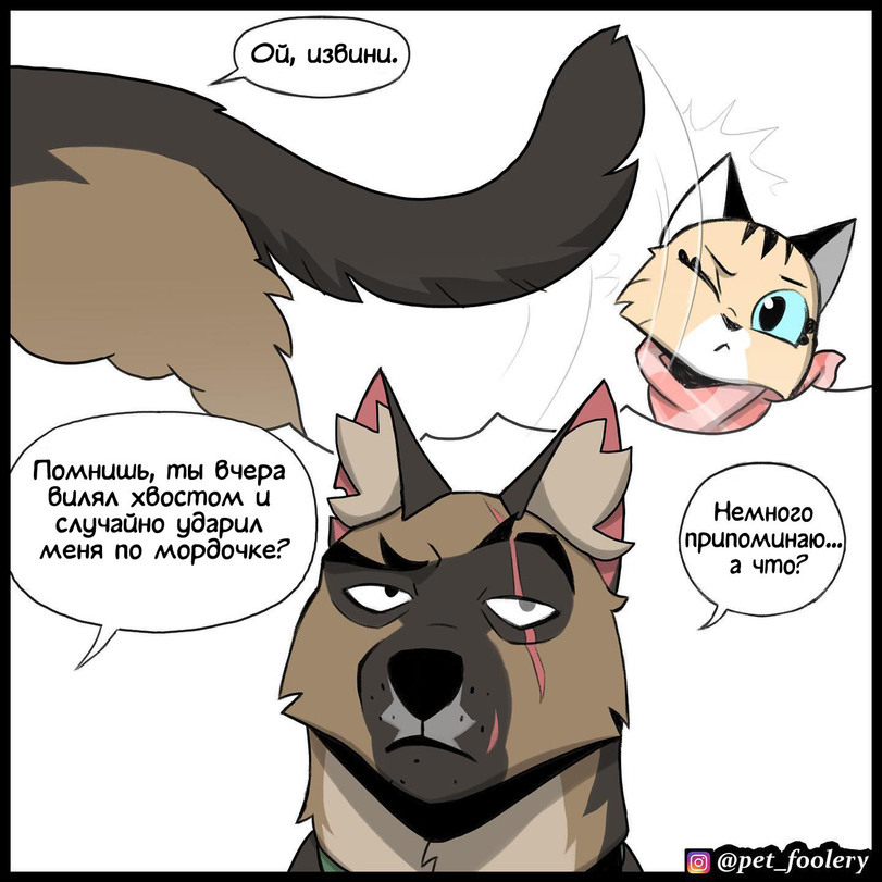 Forgiveness - Brutus and Pixie, Comics, Pet foolery, Longpost