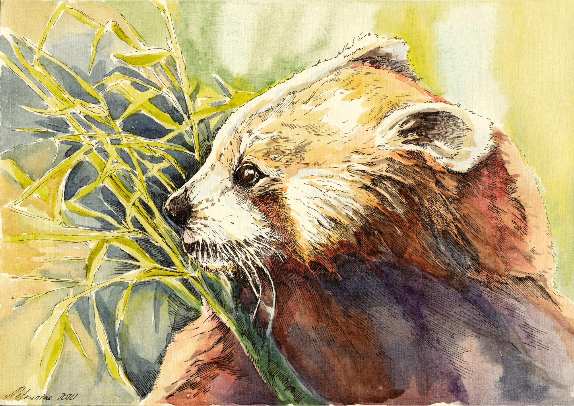 And let's not technology, but animals? - My, Watercolor, Drawing, Animals, Animalistics, Longpost