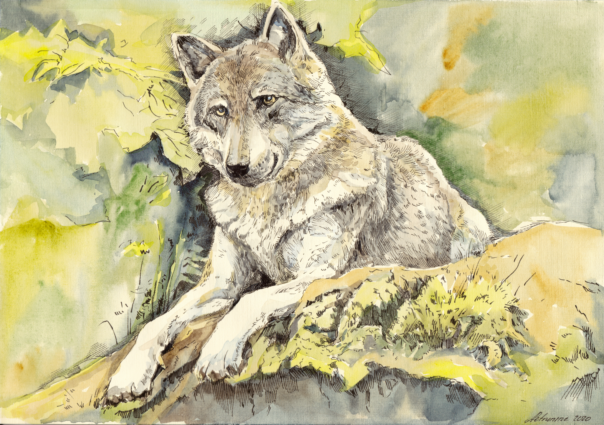 And let's not technology, but animals? - My, Watercolor, Drawing, Animals, Animalistics, Longpost