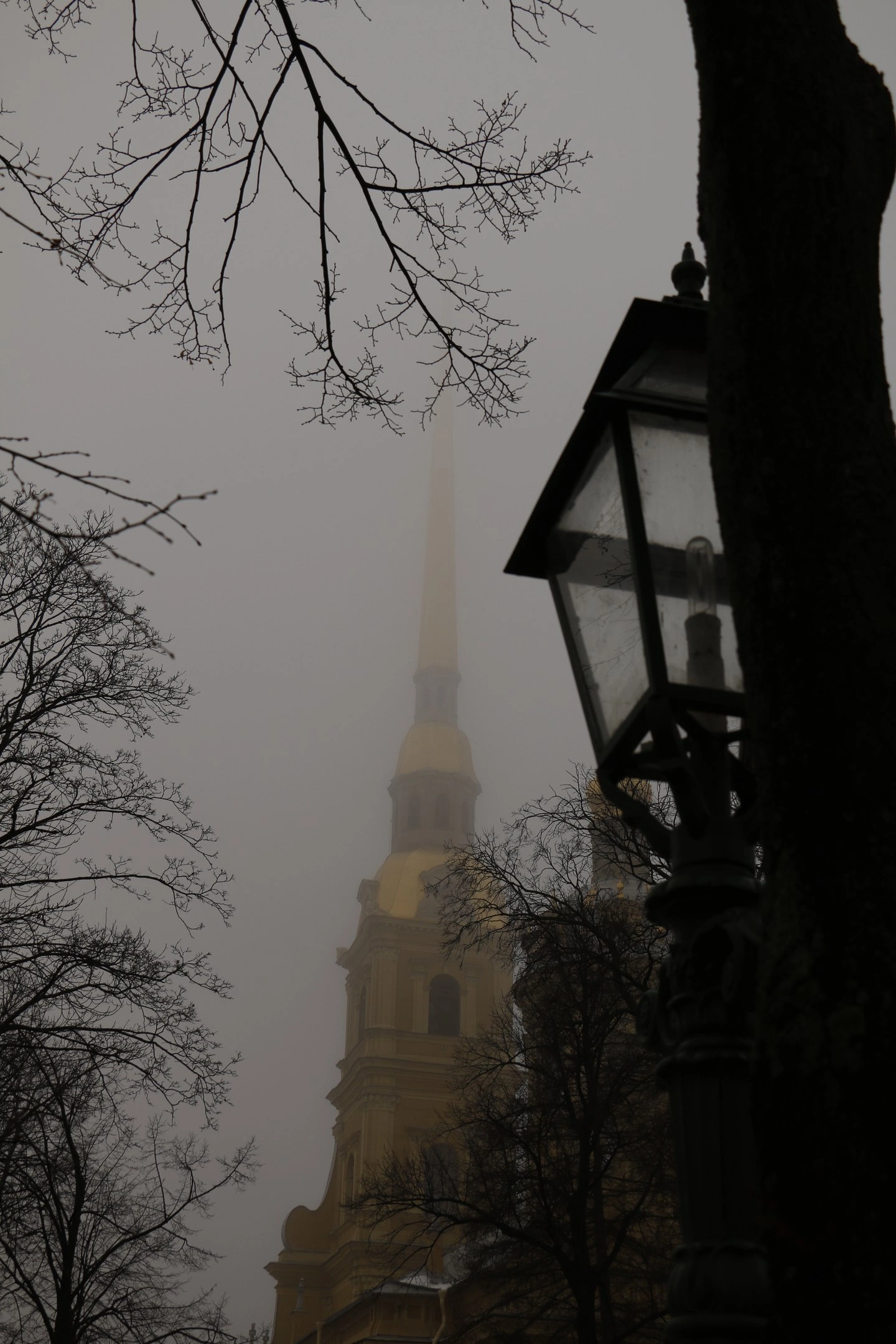 Сборная солянка - Моё, Санкт-Петербург, Фотография, Солянка, Canon, Длиннопост