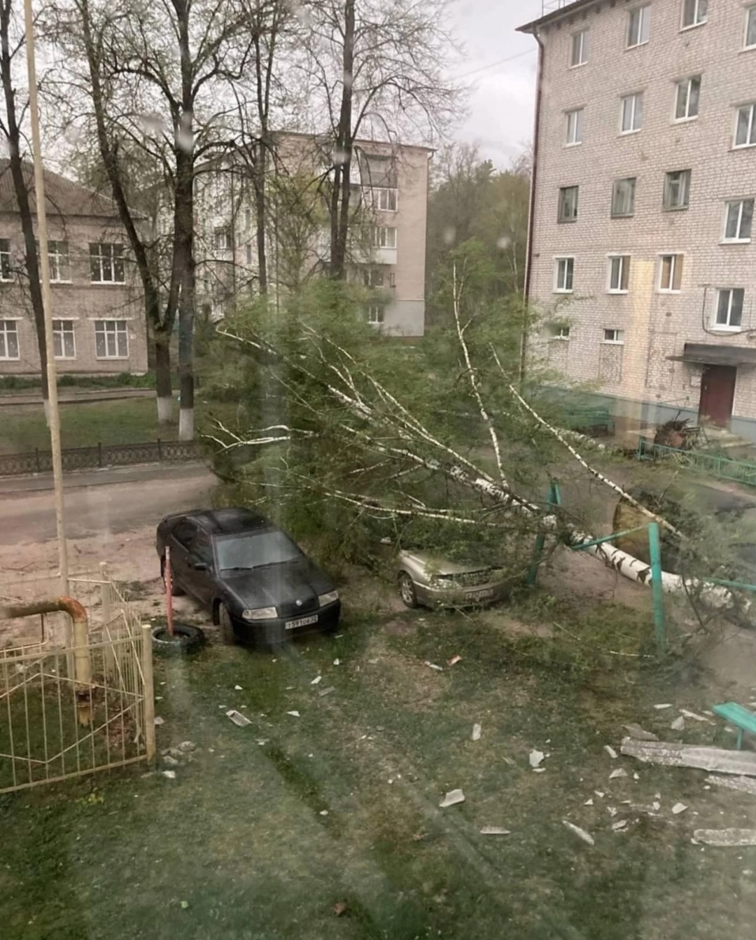 У природы нет плохой погоды - Брянская область, Жуковка, Мат, Видео, Вертикальное видео, Длиннопост