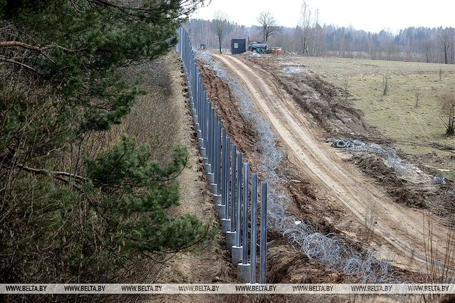 Poland fences itself off from Belarus with a wall, destroying Belovezhskaya Pushcha. Politics to the detriment of nature - Politics, Ecology, Republic of Belarus, Poland, Wall, Belovezhskaya Pushcha, news, The border, Longpost, Nature, Pain