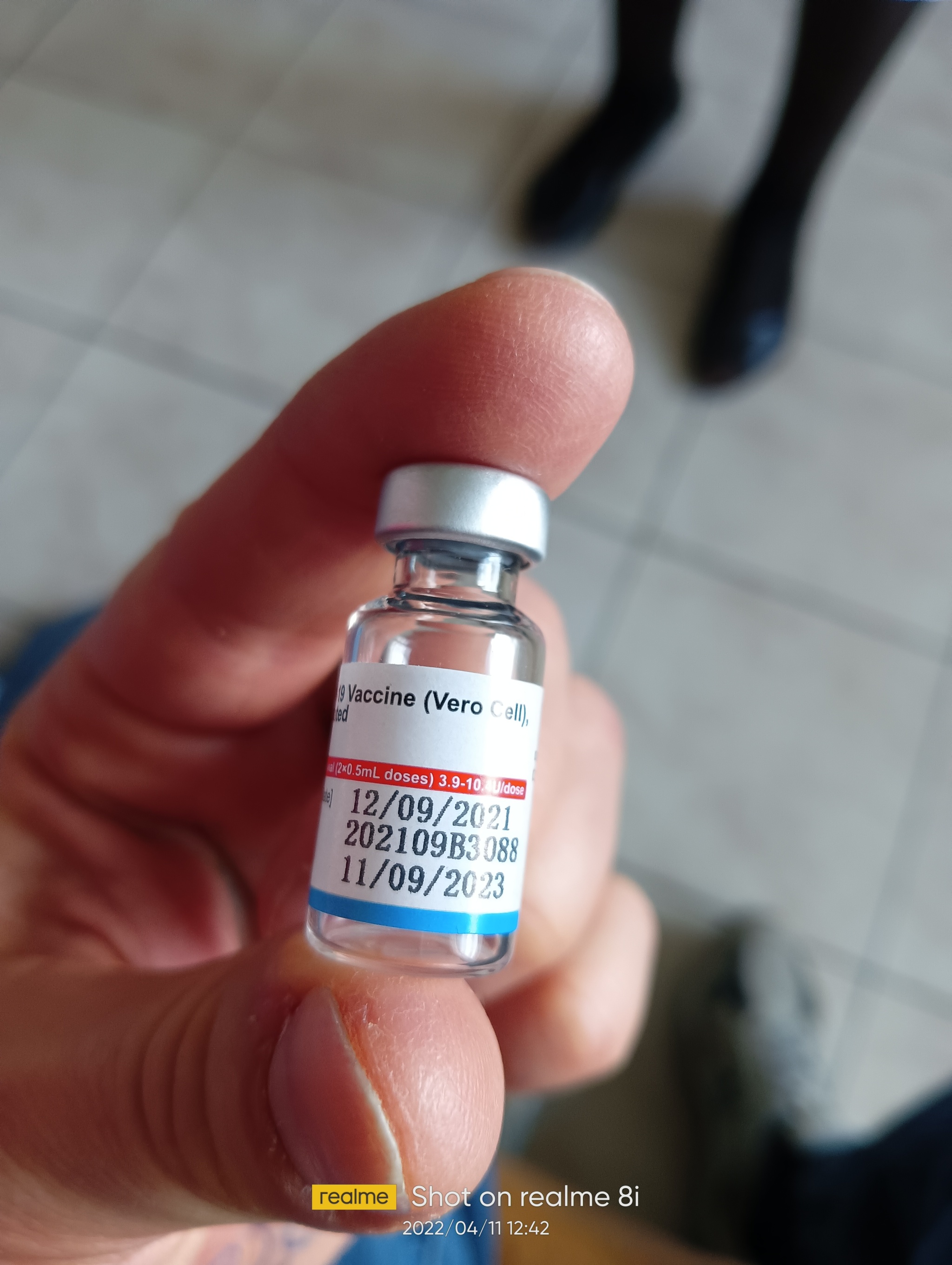 How I did a Chinese vaccination in Belarus - My, Vaccination, Vaccine, Republic of Belarus, Minsk, Travels, Canada, USA, Longpost