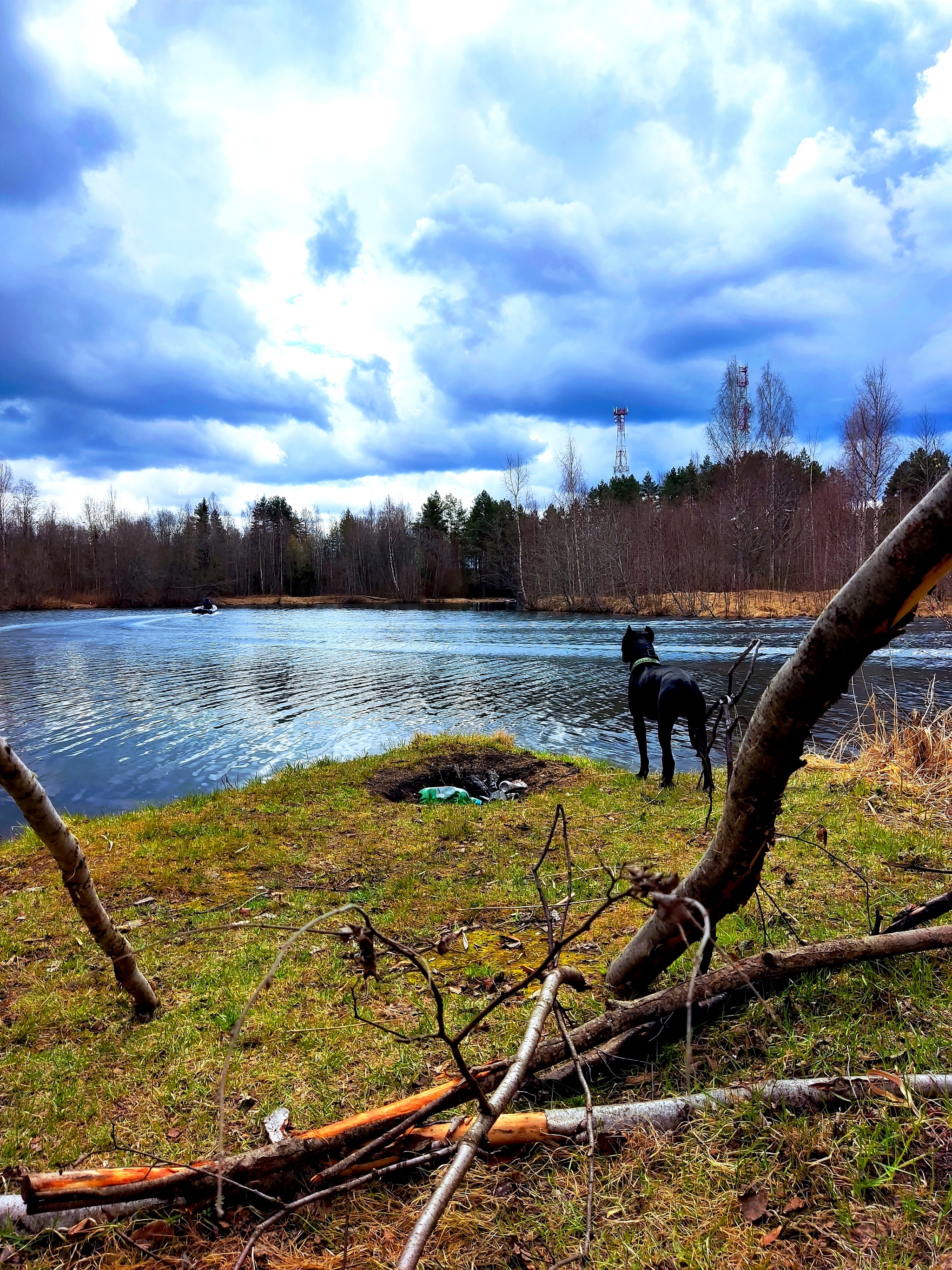 Reply to the post Lonely blonde or the story of how I spent the day off - My, Weekend, Fishing, Nature, Sunset, Silence, Longpost, Dog, cat, A fish, Hike, Animals, Video, Vertical video, Reply to post