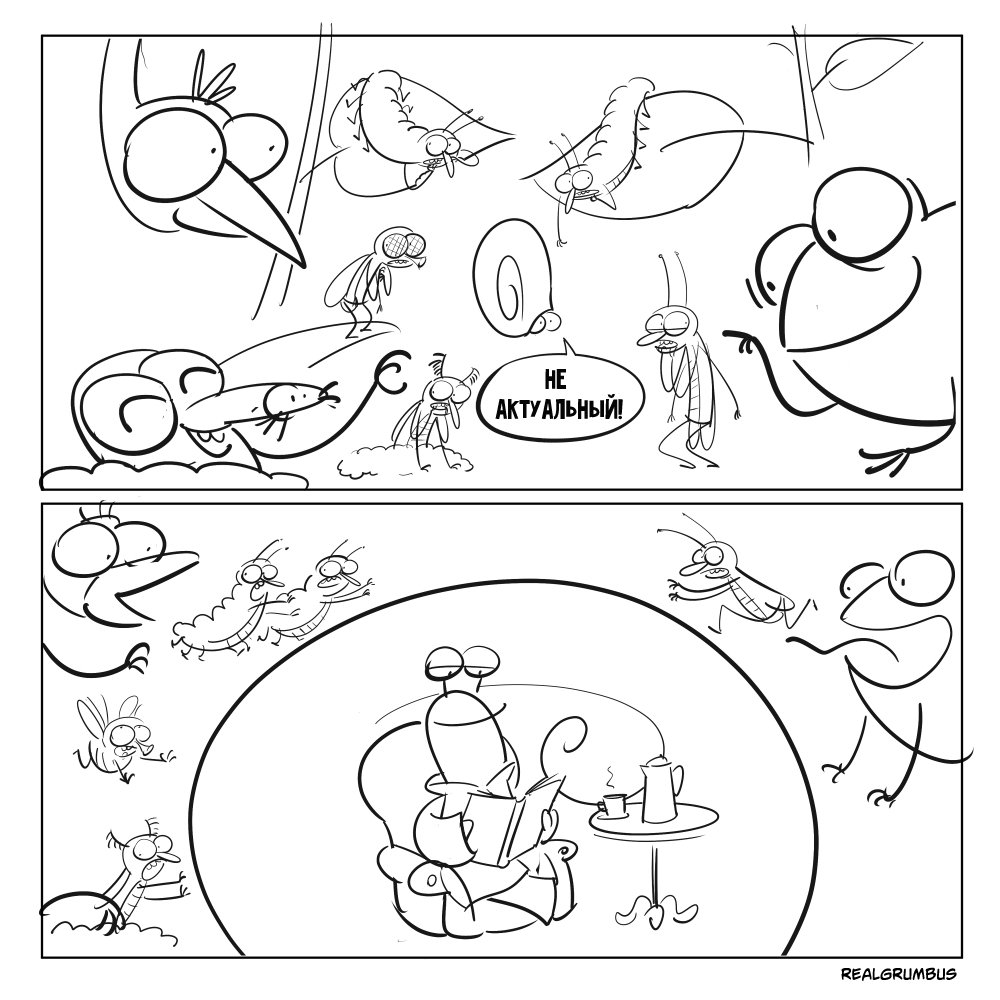 Про улитку | Пикабу