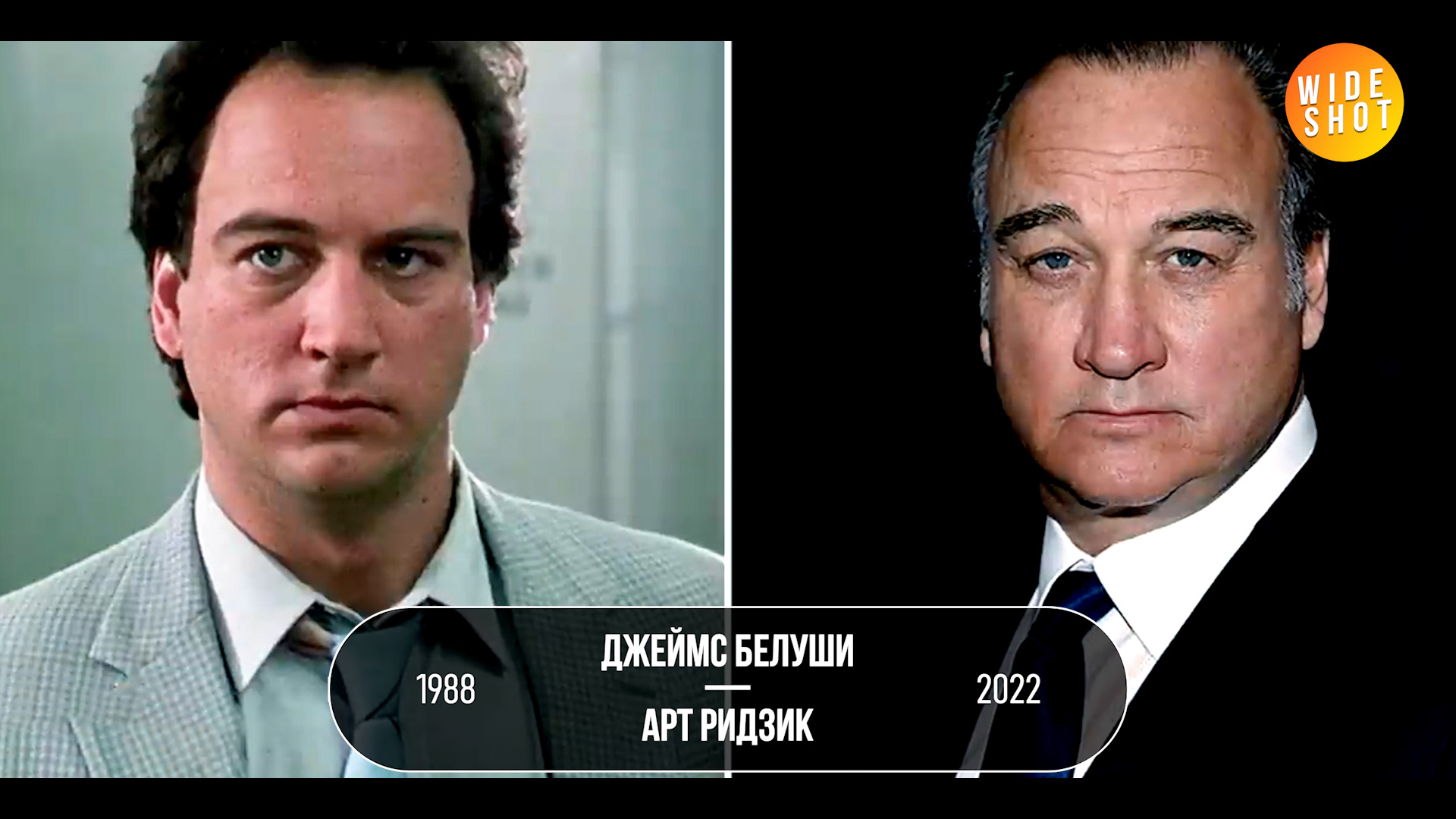 RED HEAT: THE ACTORS THEN AND NOW (1988 vs. 2022) - Hollywood, Actors and actresses, Video review, Celebrities, Movies, It Was-It Was, Red heat, Arnold Schwarzenegger, Боевики, Movies of the 80s, I advise you to look, What to see, Video, Youtube, Longpost