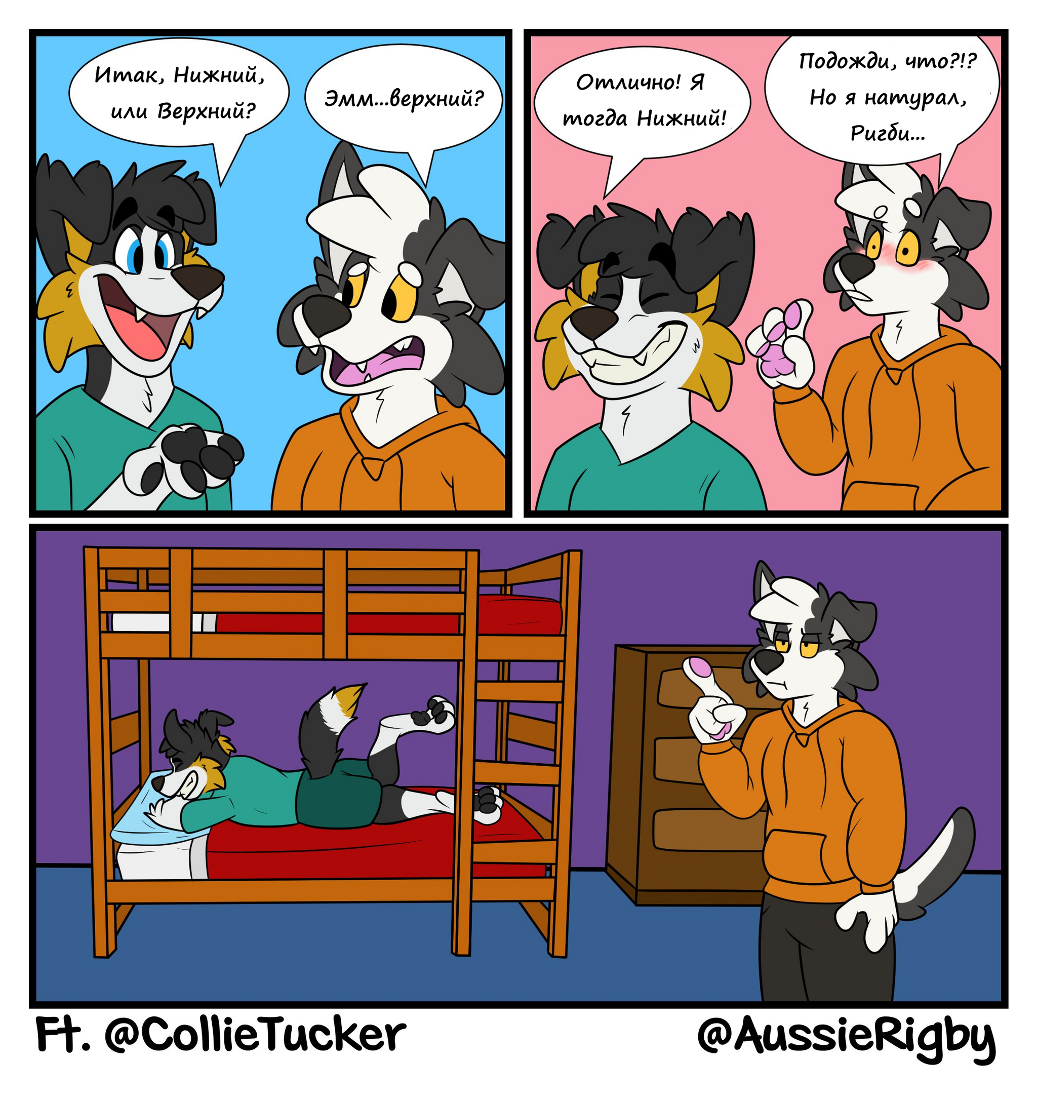 What will you choose? - Furry, Furry comics, Comics, Furry canine, Furry dog, Bunk bed, Humor