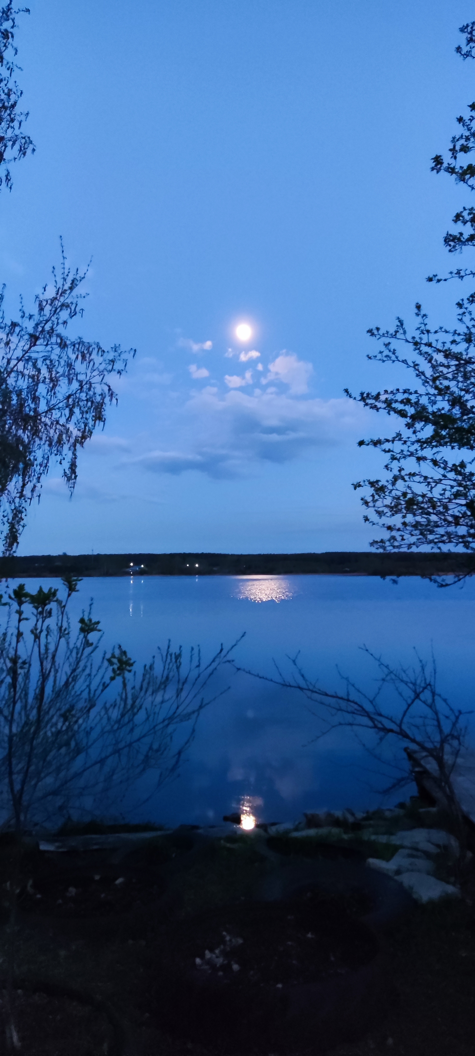 The nature of loneliness - My, Nature, Sadness, Longpost, moon