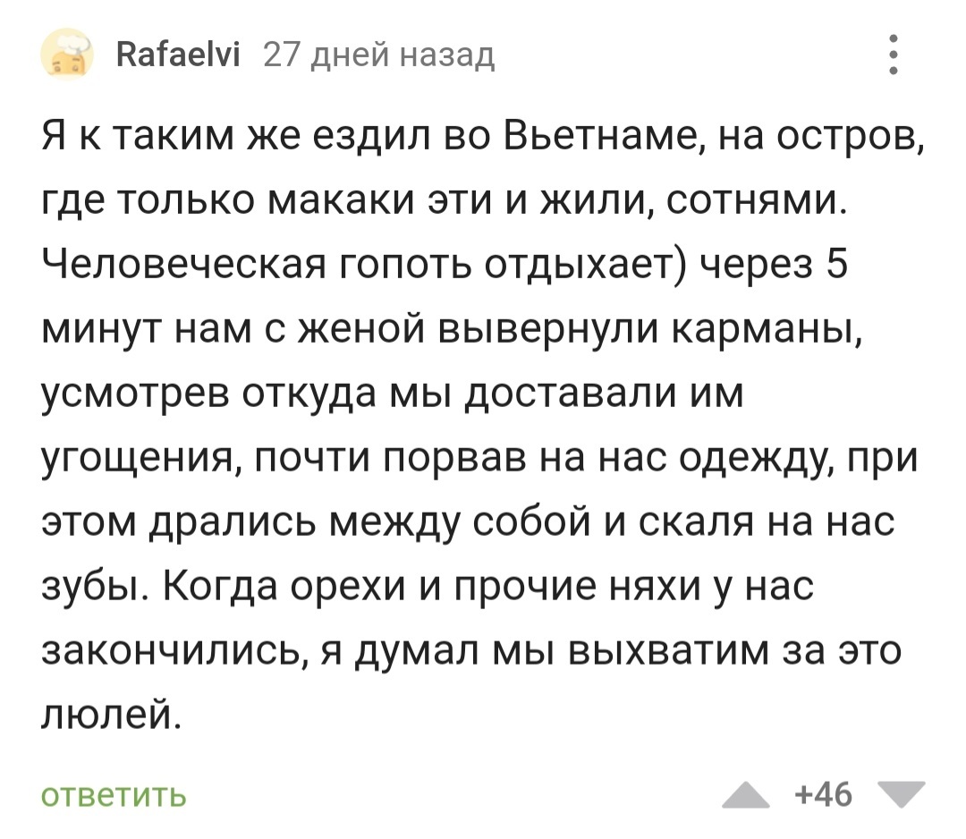 Встреча с предками как-то не задалась - Истории из жизни, Макака, Юмор, Комментарии на Пикабу, Скриншот, Длиннопост