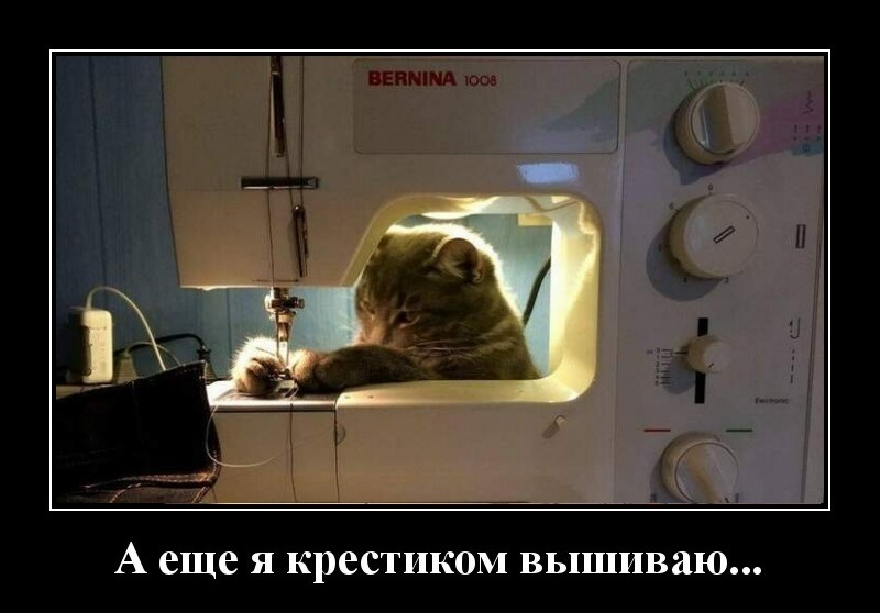 Cat Cinderella - cat, Demotivator, Sewing