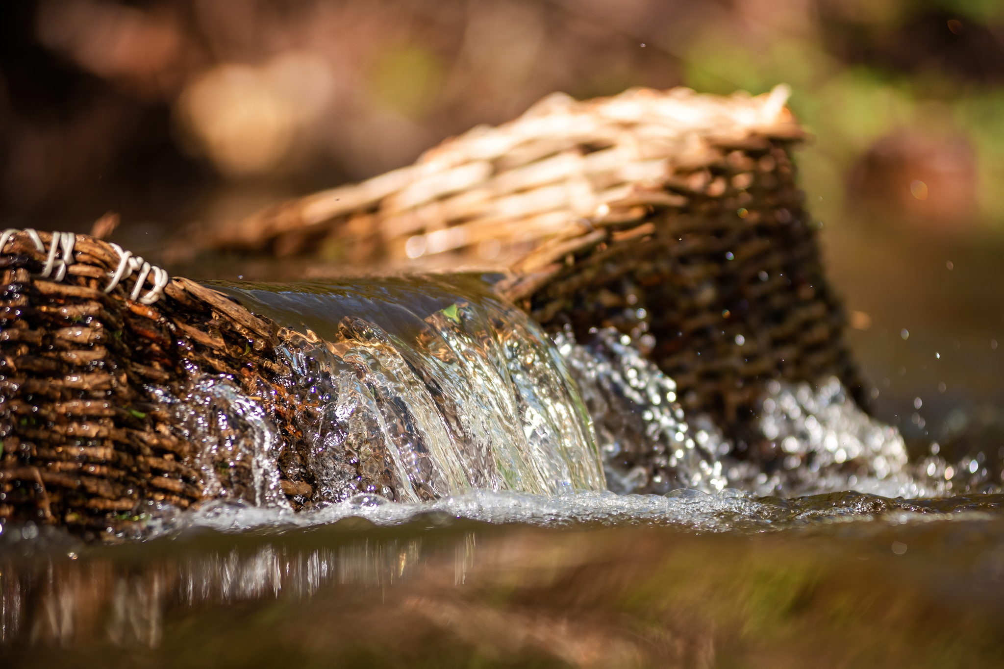 On the river... - My, Forest, The photo, River, Spring, Macro photography, Nature, Longpost