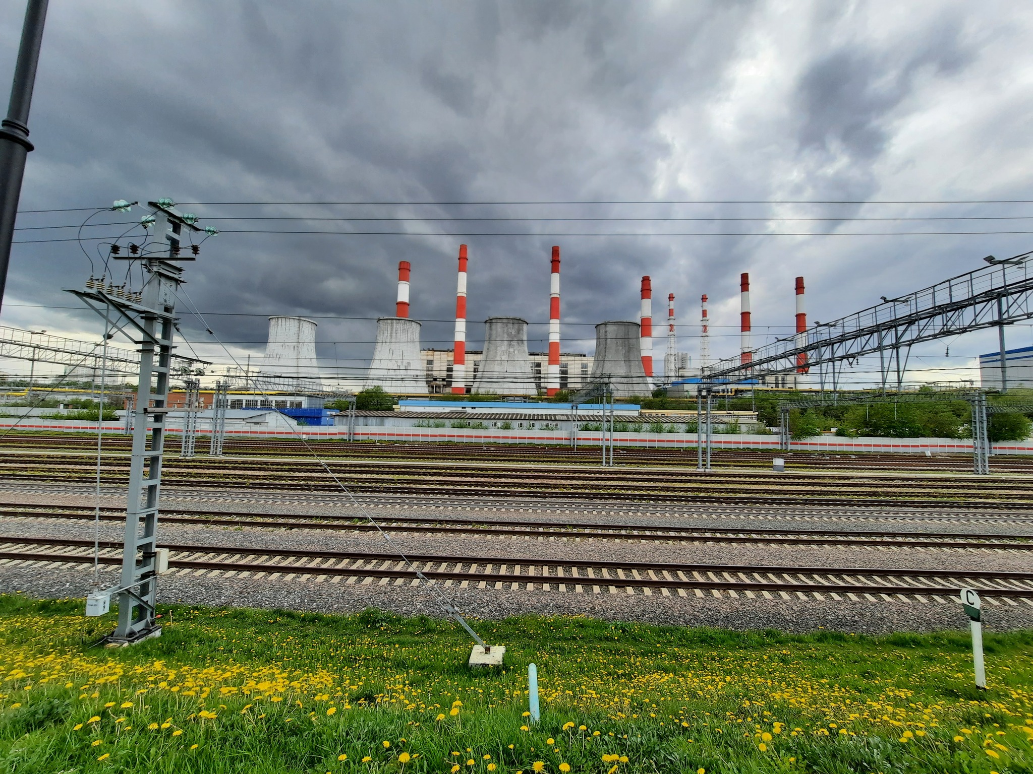 Irons and dandelions - My, CHP, Railway, Dandelion