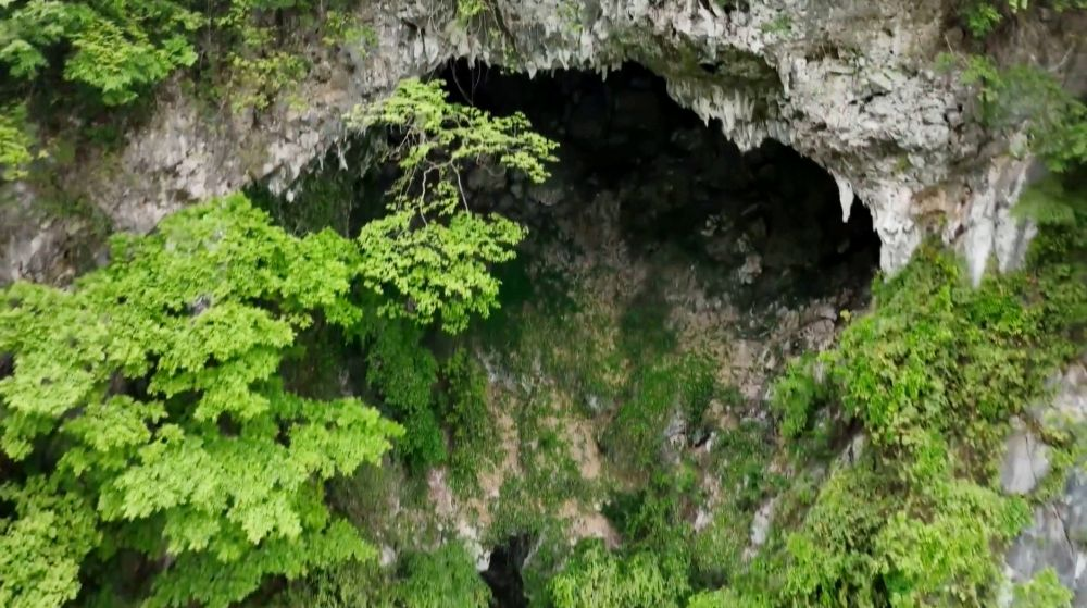 Karst sinkhole with ancient forest in China - Karst funnel, Forest, China, Speleology, Karst Sinkhole, Plants, The photo, wildlife, beauty of nature, Arguments and Facts, Longpost