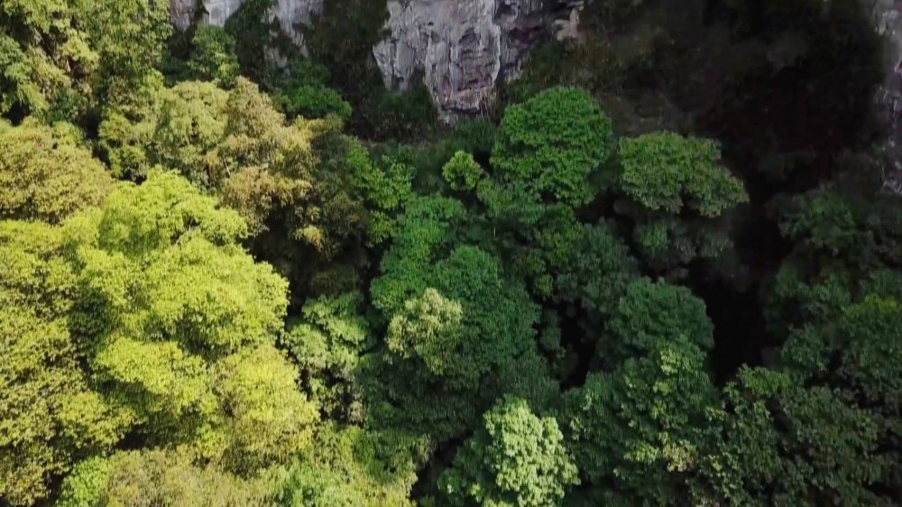 Karst sinkhole with ancient forest in China - Karst funnel, Forest, China, Speleology, Karst Sinkhole, Plants, The photo, wildlife, beauty of nature, Arguments and Facts, Longpost