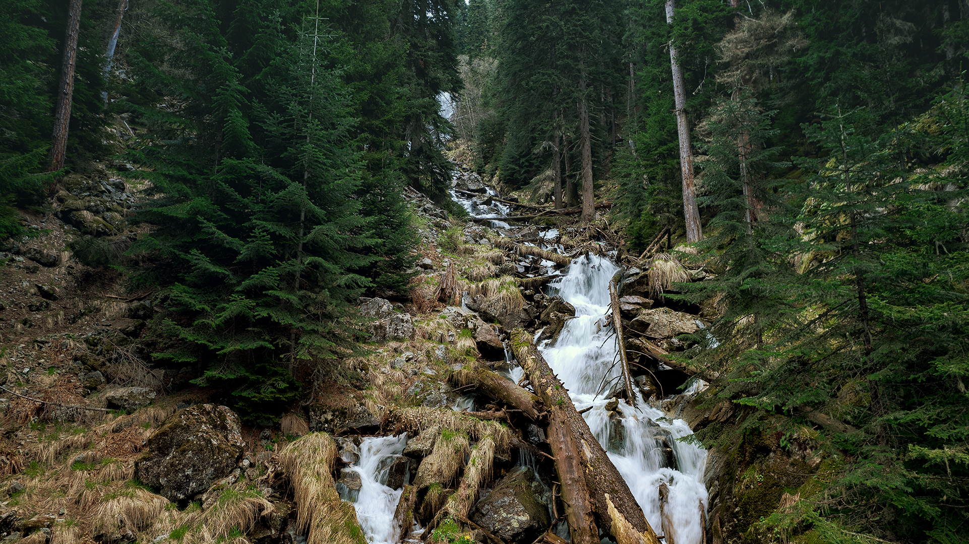 Mountain river Chigordali - My, The photo, Arkhyz, Mountain river