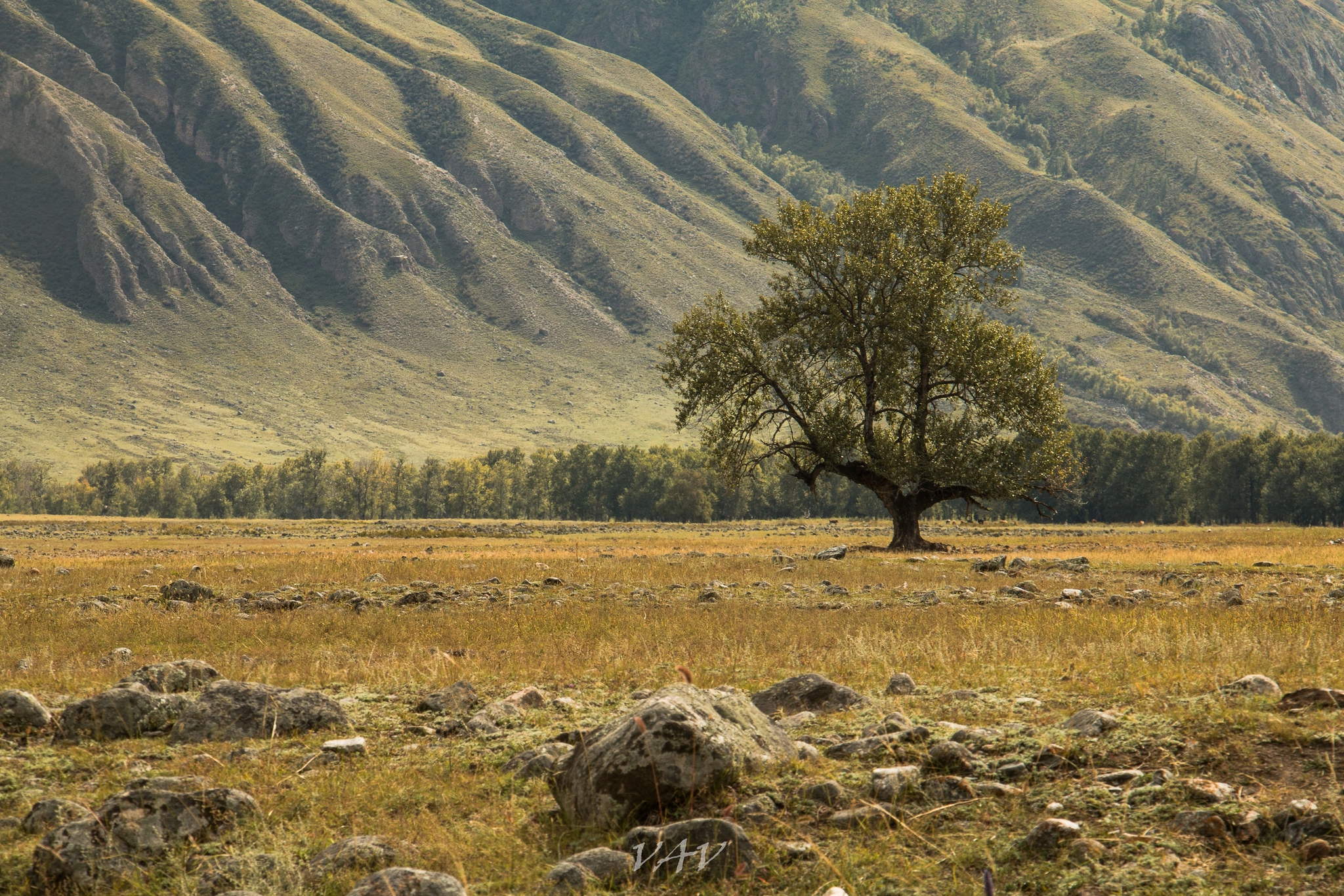 Осенний Алтай - Моё, Начинающий фотограф, Республика Алтай, Осень, Canon, Путешествия, Путешествие по России, Длиннопост