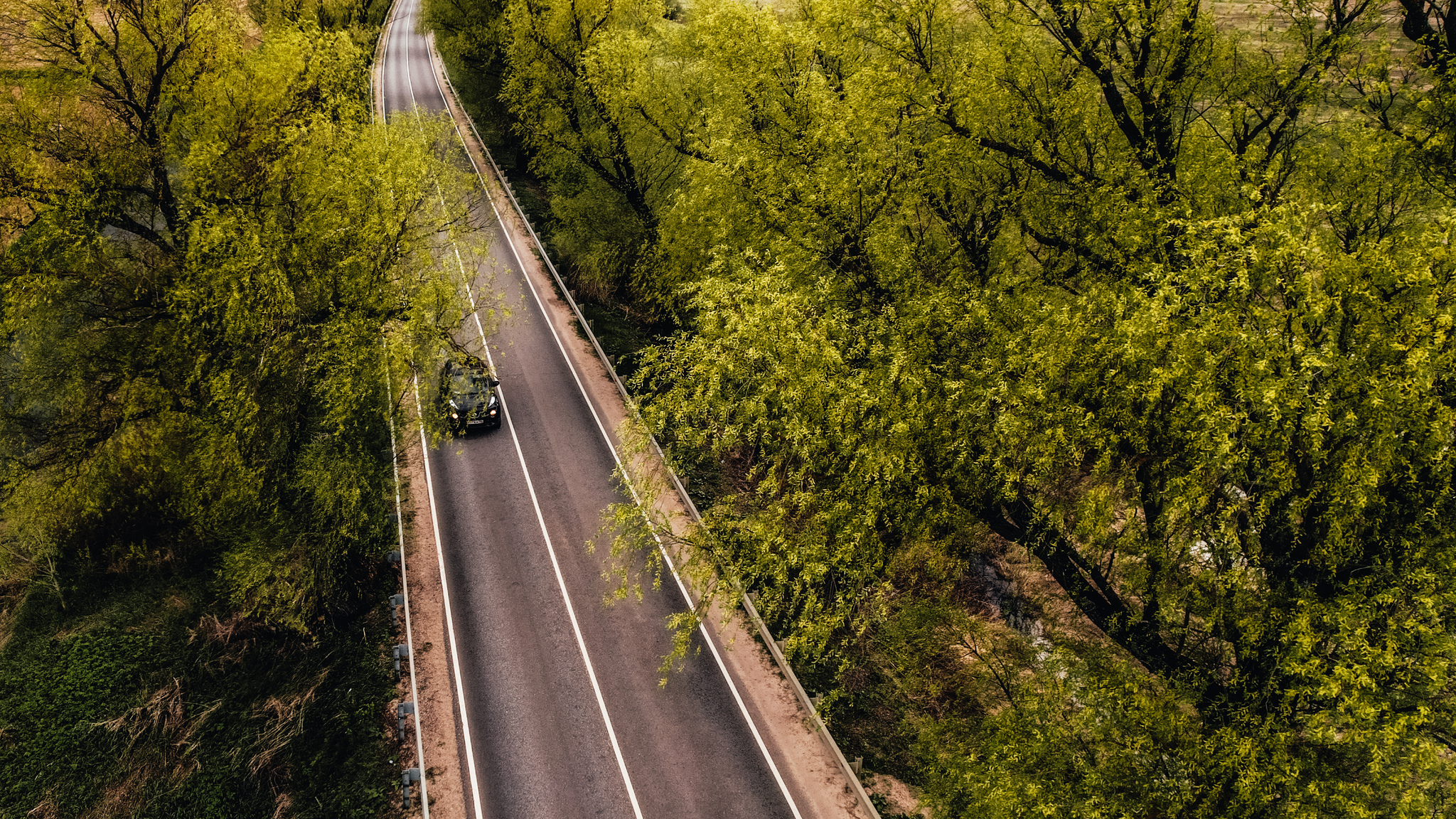 Summer is coming - My, Spring, Road, Car, The photo