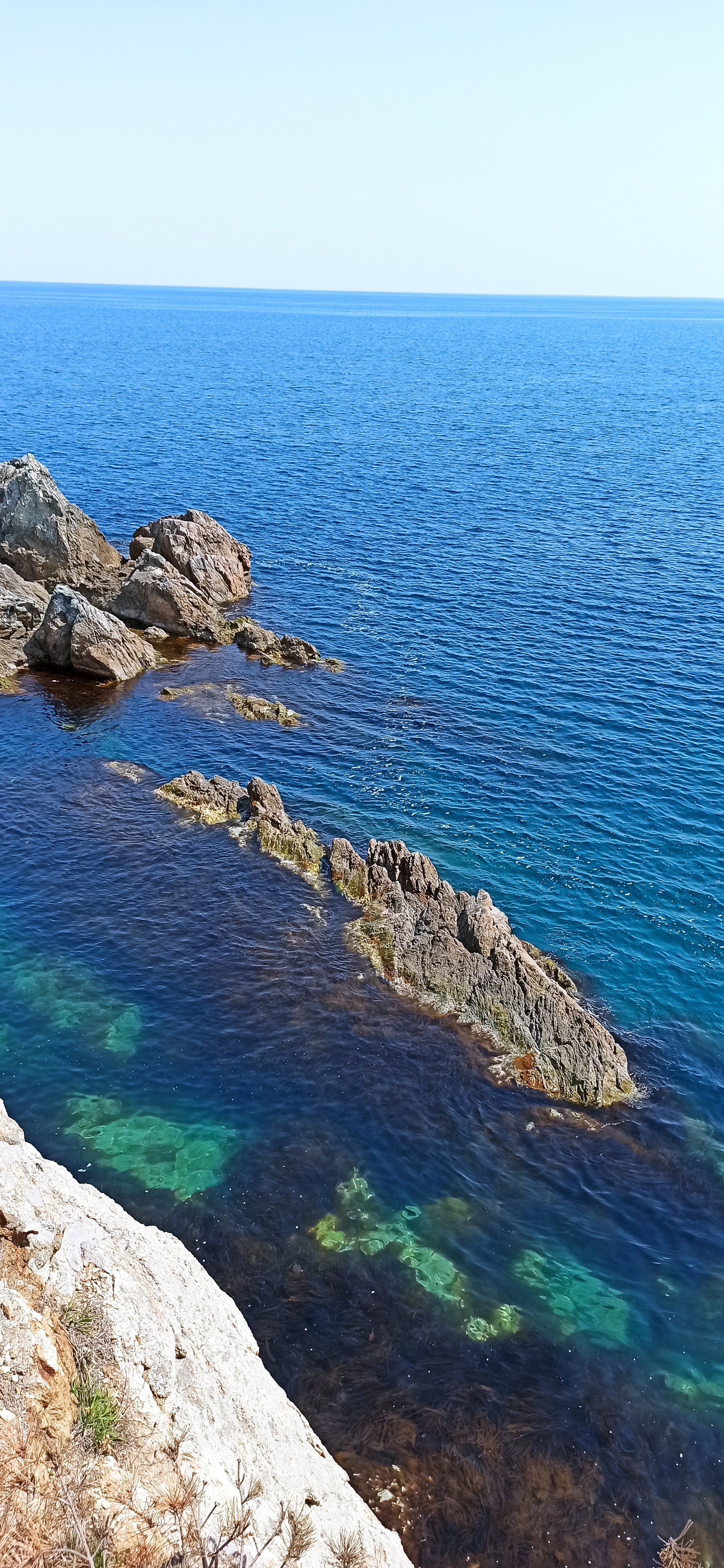 Primorsky Krai, Vityaz Bay, Cape Astafiev and Orlinka - My, Longpost, Primorsky Krai, Sea, Travels, Nature