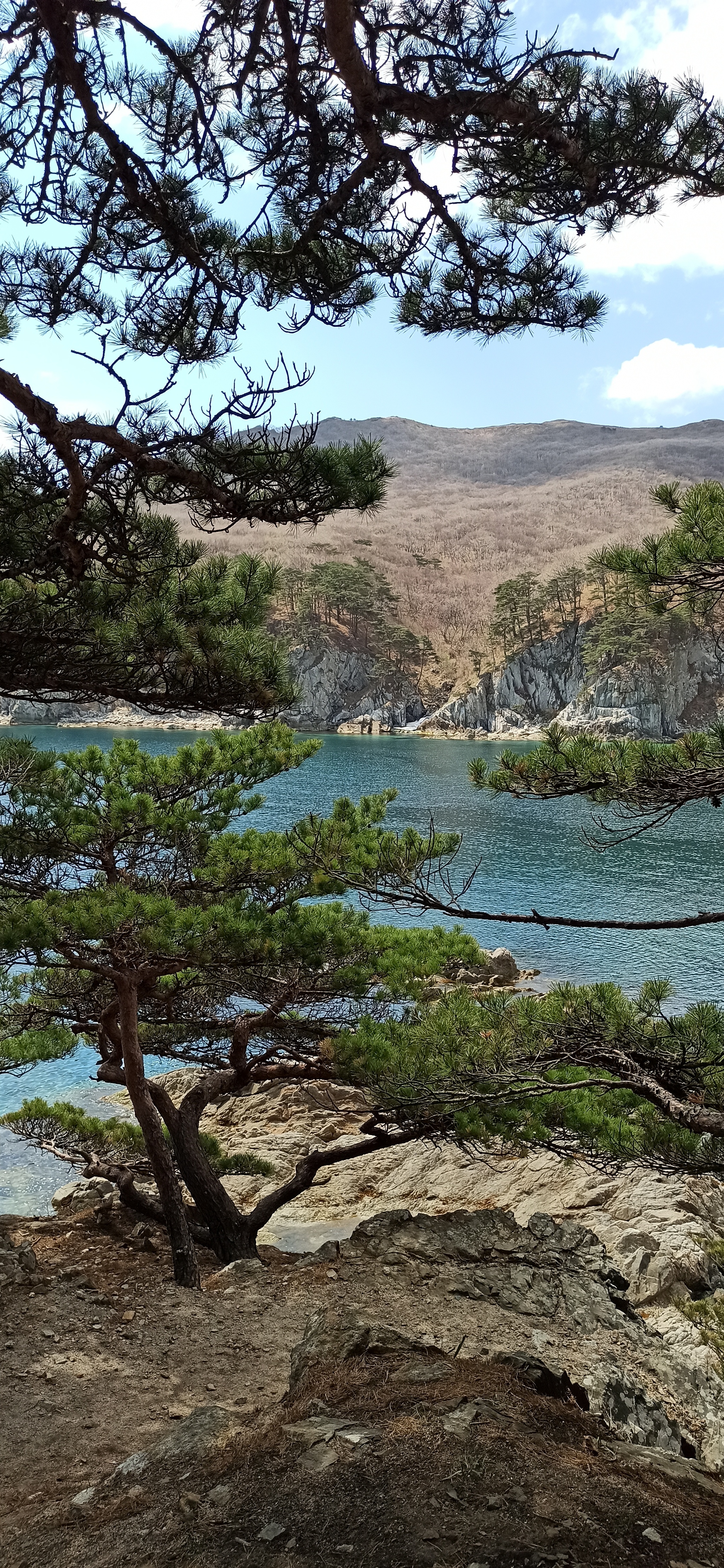 Primorsky Krai, Vityaz Bay, Cape Astafiev and Orlinka - My, Longpost, Primorsky Krai, Sea, Travels, Nature