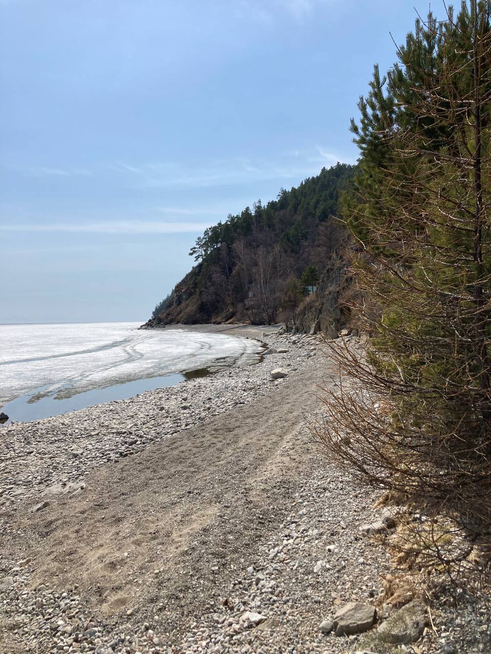 Western shore of Lake Baikal. - My, The photo, Siberia, Plants, Tree, Macro photography, The nature of Russia, beauty of nature, Lake, Nature, Spring, Winter, Baikal, Irkutsk region, Mobile photography, Sunset, beauty, Canon, Landscape, Tourism, Russia, Longpost