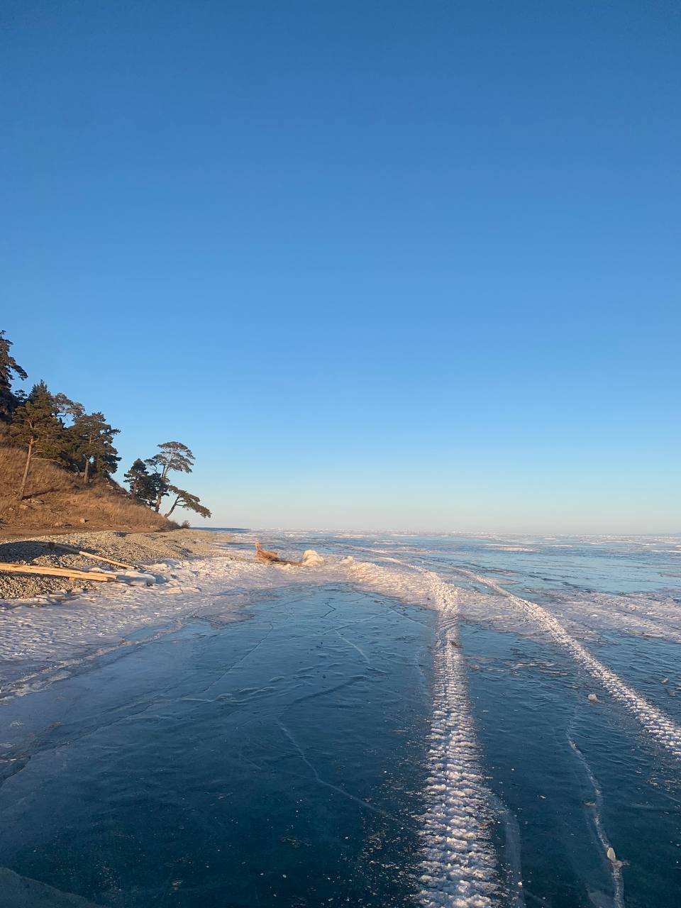 Western shore of Lake Baikal. - My, The photo, Siberia, Plants, Tree, Macro photography, The nature of Russia, beauty of nature, Lake, Nature, Spring, Winter, Baikal, Irkutsk region, Mobile photography, Sunset, beauty, Canon, Landscape, Tourism, Russia, Longpost