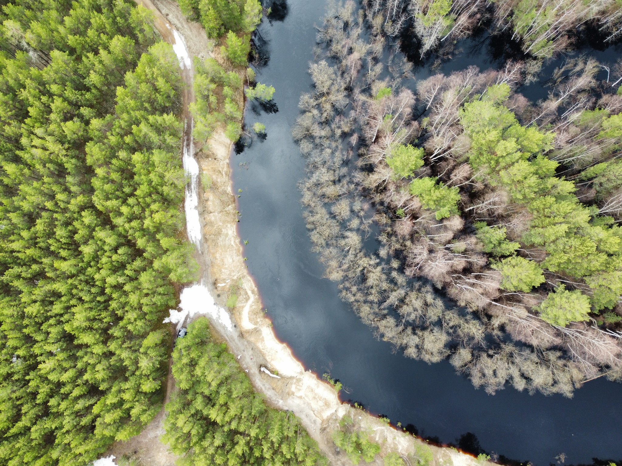 Spring is coming, spring is on its way! - My, Nature, DJI mini 2, Aerial photography, KhMAO, River, Forest, View from above