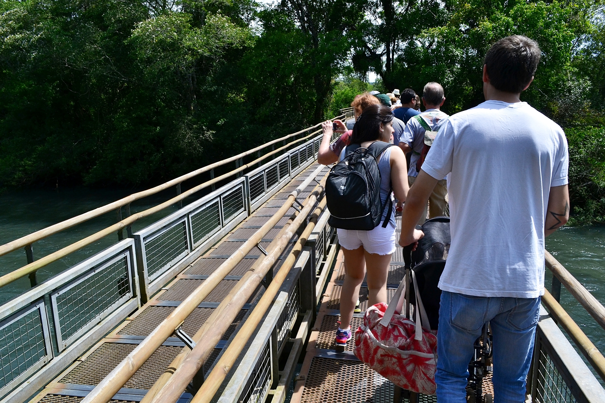 Iguazu National Park. - My, Travels, Tourism, Independence, Argentina, Iguazu Falls, Waterfall, National park, South America, Excursion, Spectacle, Nature, The photo, Drive, Video, Youtube, Longpost