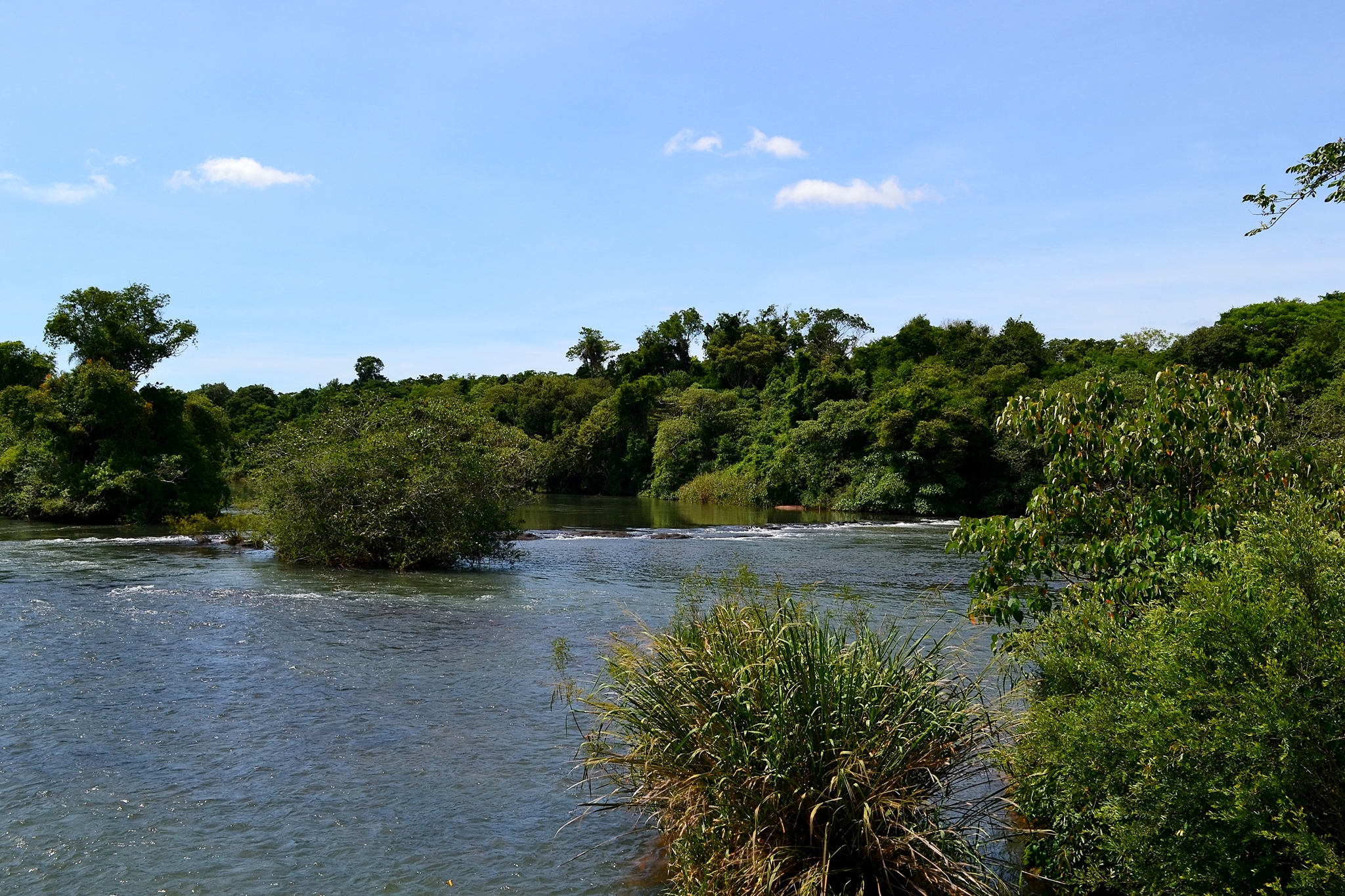 Iguazu National Park. - My, Travels, Tourism, Independence, Argentina, Iguazu Falls, Waterfall, National park, South America, Excursion, Spectacle, Nature, The photo, Drive, Video, Youtube, Longpost