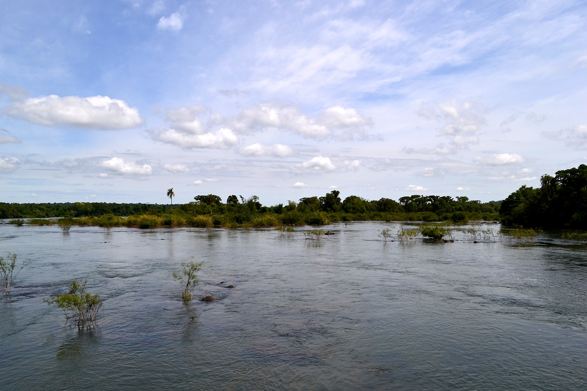 Iguazu National Park. - My, Travels, Tourism, Independence, Argentina, Iguazu Falls, Waterfall, National park, South America, Excursion, Spectacle, Nature, The photo, Drive, Video, Youtube, Longpost