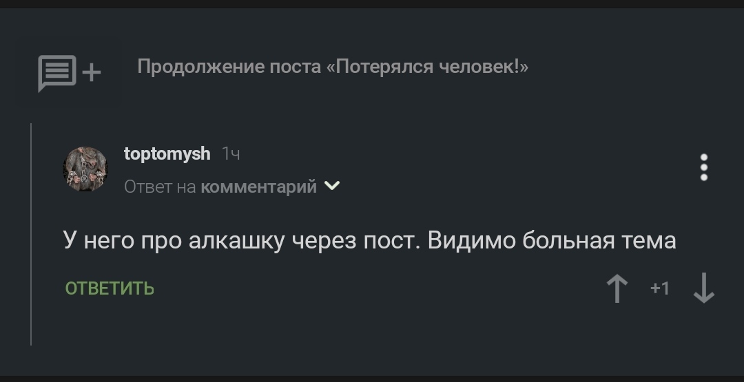 Продолжение поста «Потерялся человек!» - Объяснительная, Комментарии на Пикабу, Ответ, Мат, Длиннопост