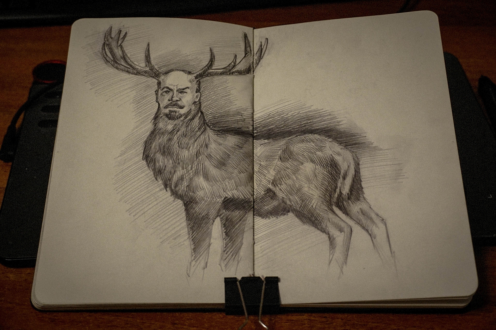 Olenin - My, Lenin, Deer, Pencil drawing