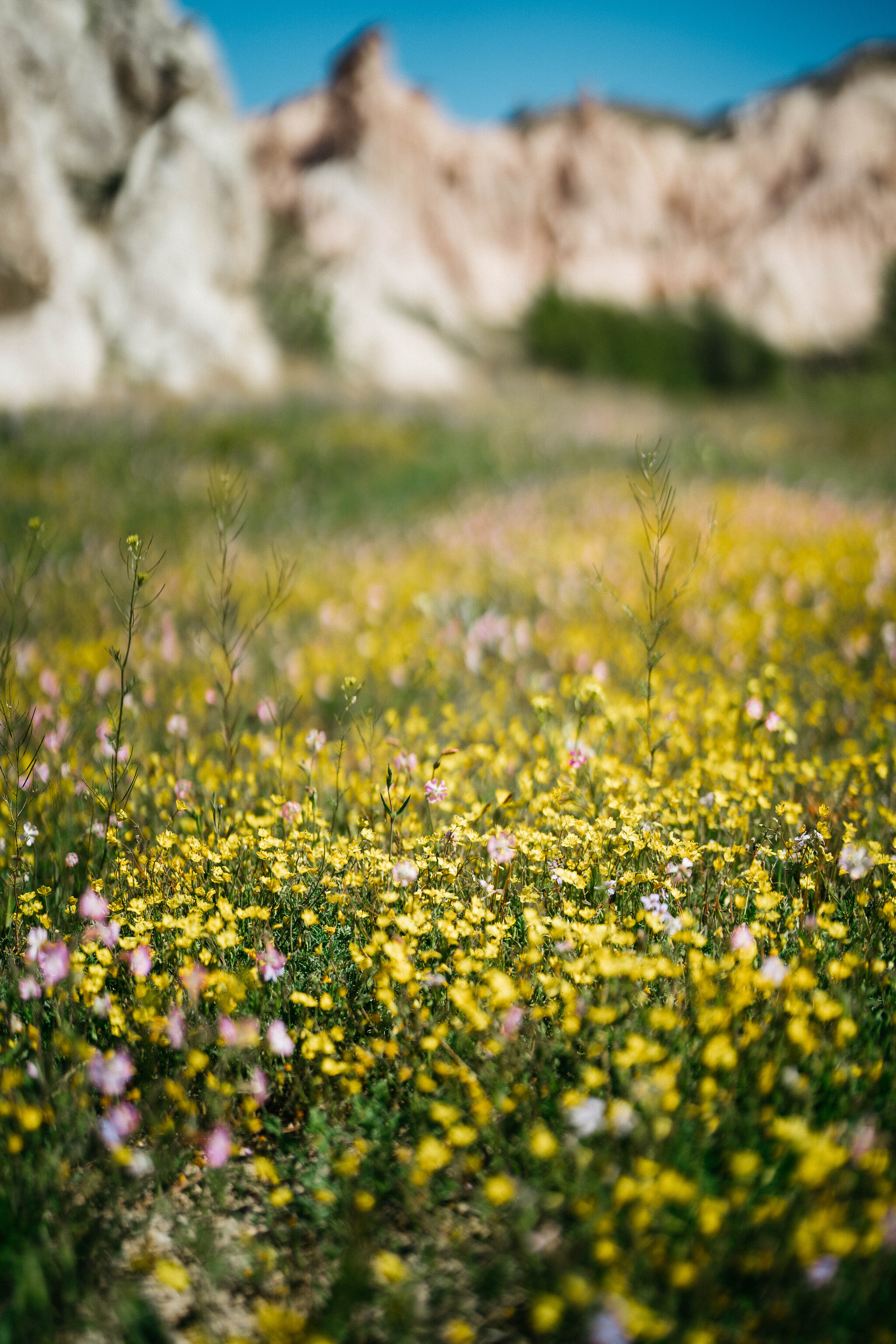 Cappadocia in May - My, Travels, Turkey, Cappadocia, Relaxation, Tourism, Longpost, The photo