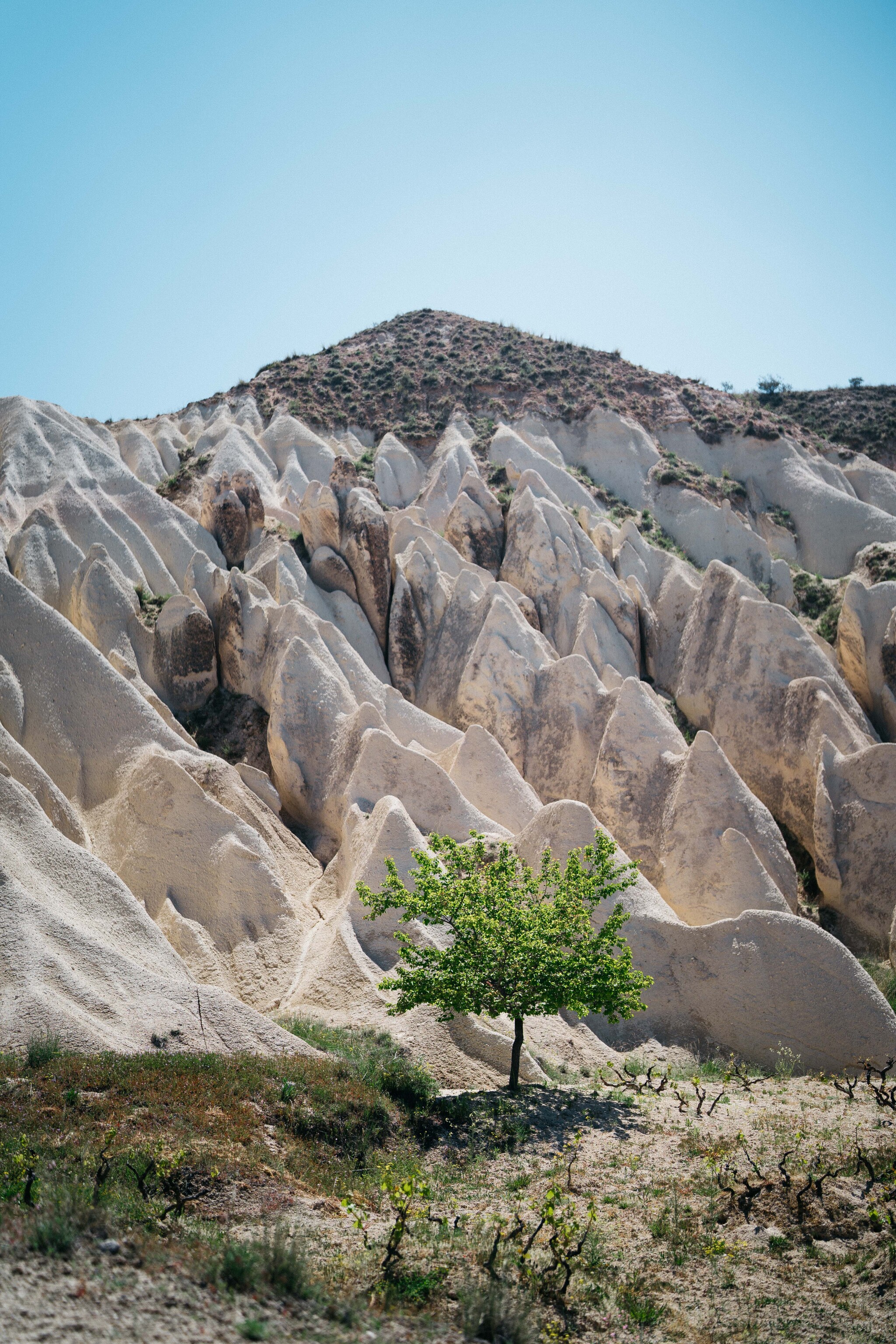 Cappadocia in May - My, Travels, Turkey, Cappadocia, Relaxation, Tourism, Longpost, The photo