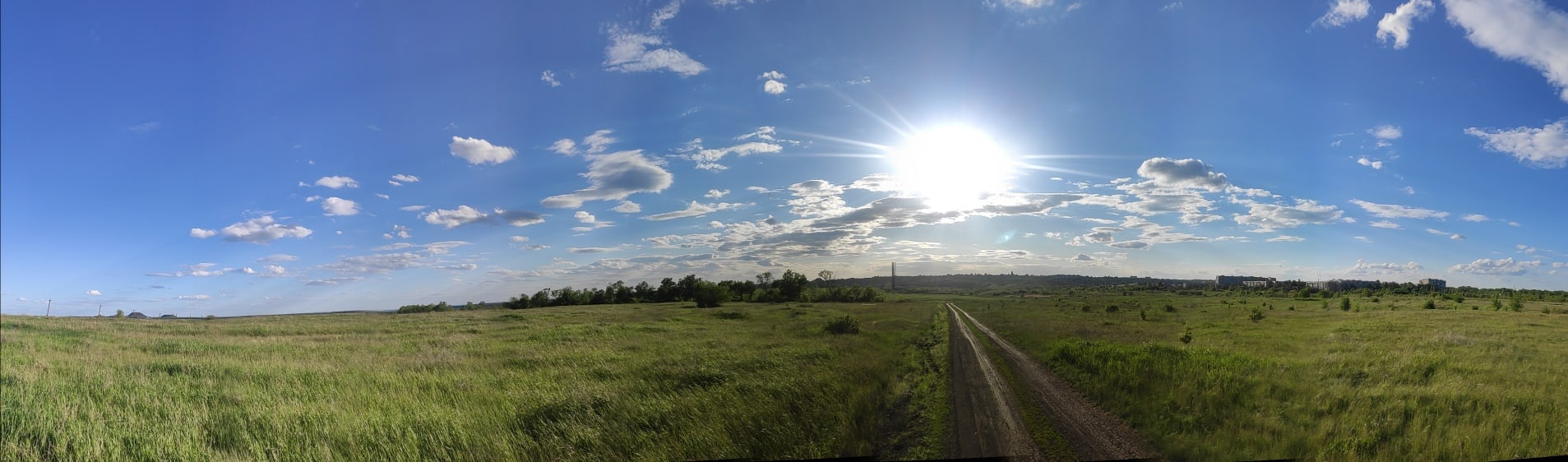 Просянка - Моё, Птицы, Фотоохота, Орнитология, Степь, Закат, Антрацит, ЛНР, Донбасс, Отпуск, Фотография, Май, Хобби, Длиннопост