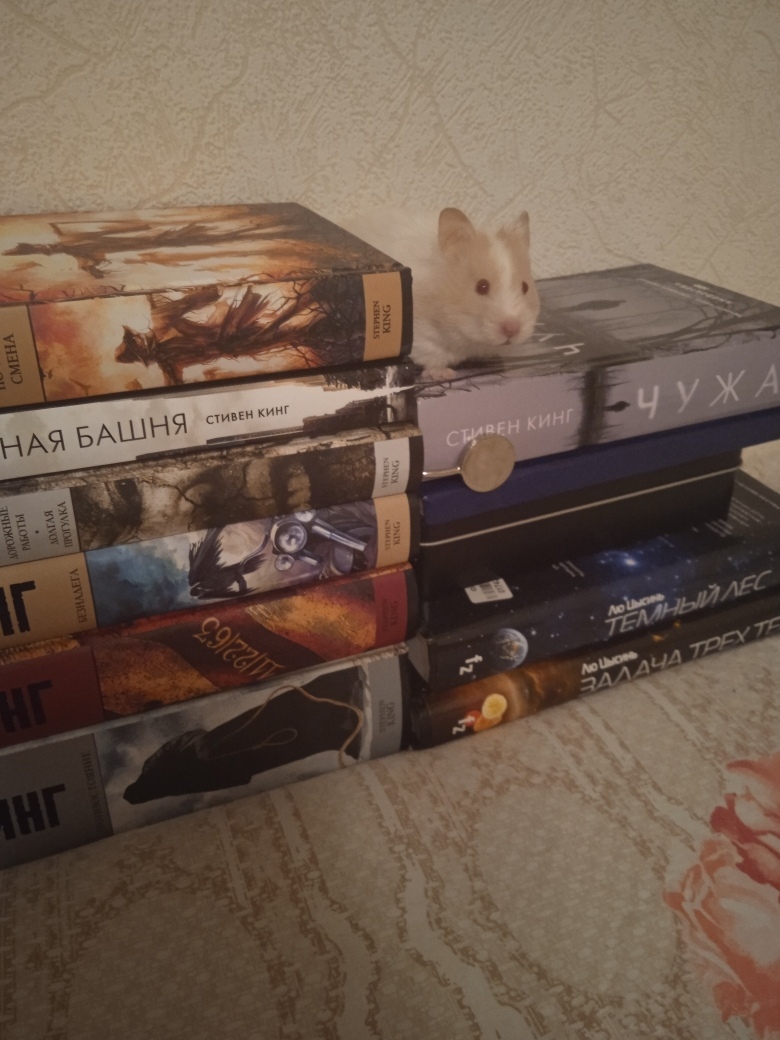 Book Mouse - Keeper of Stephen King's Books - Books, Pets