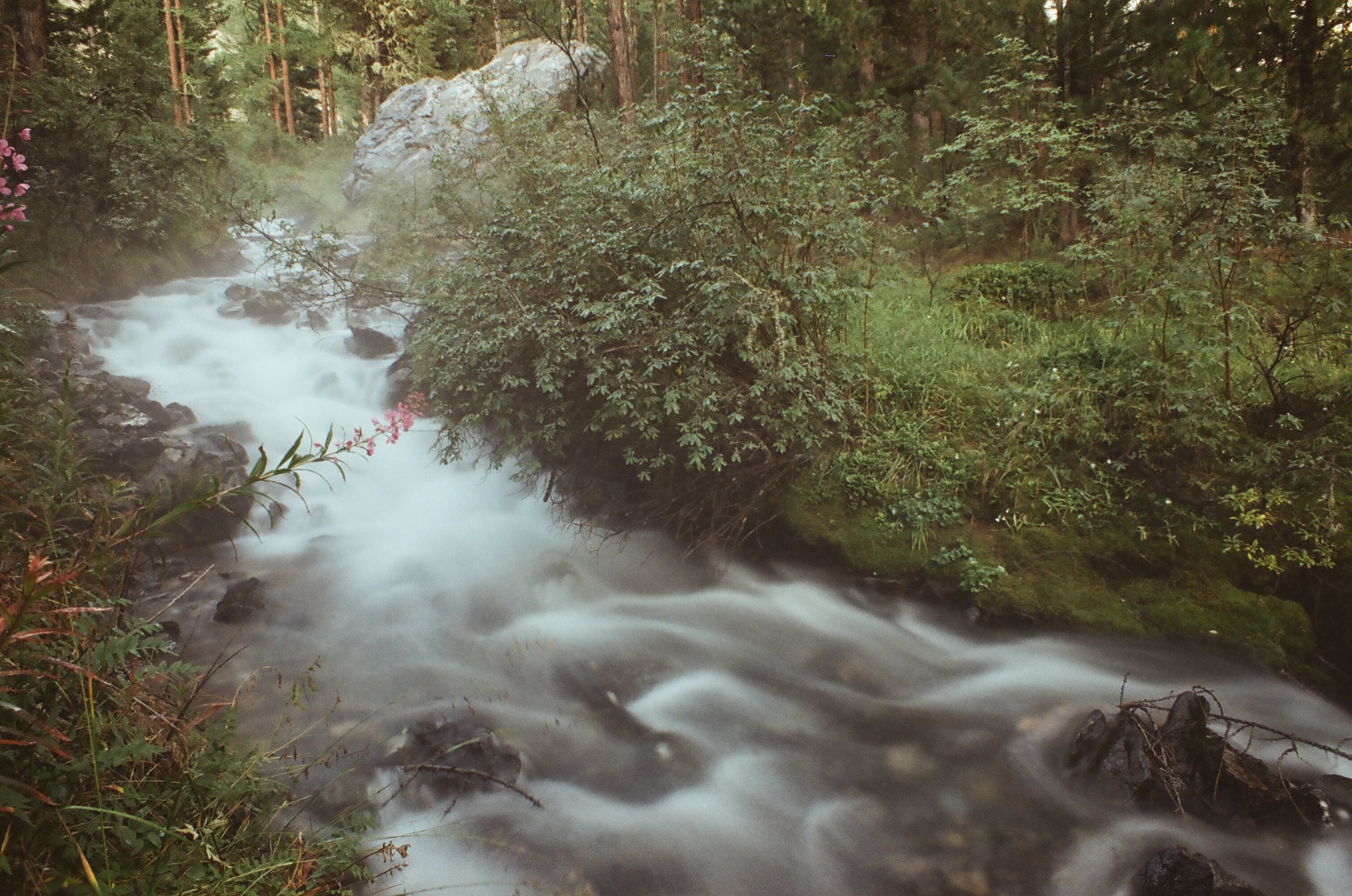 Morning fog - Altai Republic, Stream, Summer, Morning, Film