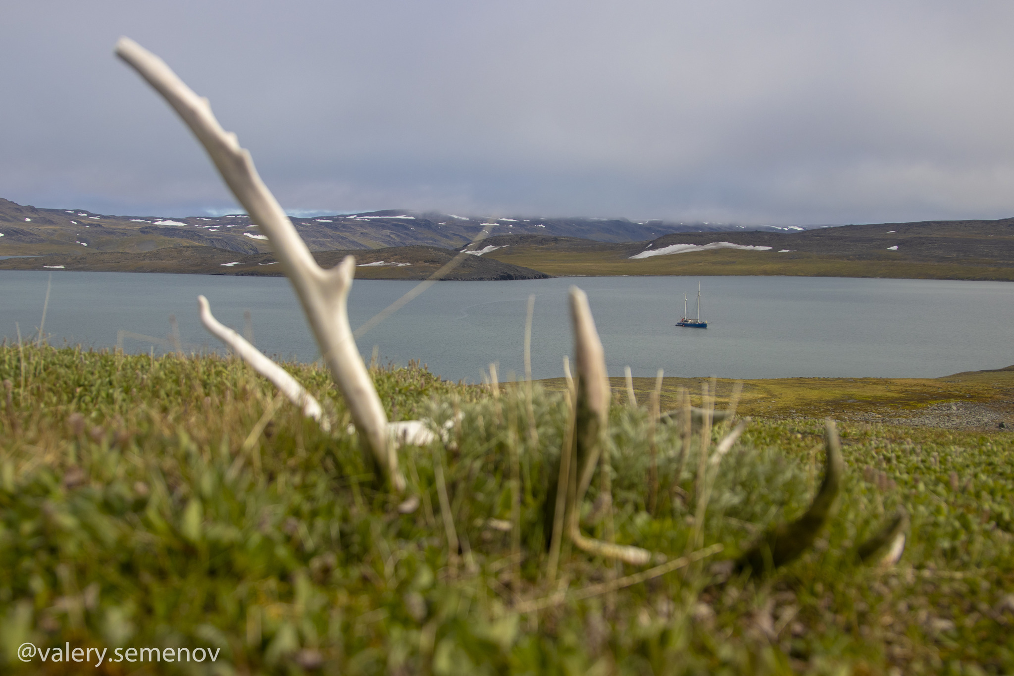 Expedition Notes [ #1 ] - My, Novaya Zemlya Archipelago, Expedition, Hike, Longpost