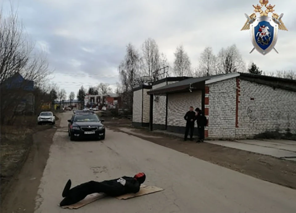 “He died in an ambulance”: A drunken resident of Pavlov twice ran over a father of many children who had a fight with her roommate - Murder, Nizhny Novgorod Region, Fight, Hitting, Drunk Driver, Criminal case, Nonhumans, Deprivation of rights, Longpost, Negative