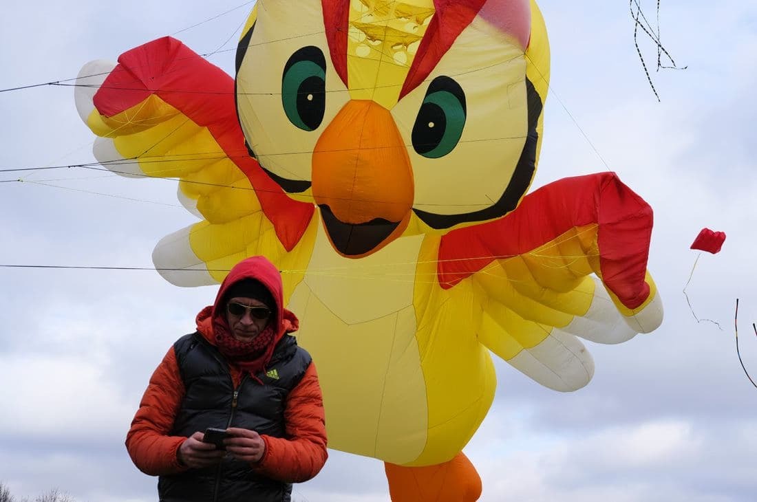 kite festival - My, Kite, The festival, Moscow, Tsaritsyno, Longpost