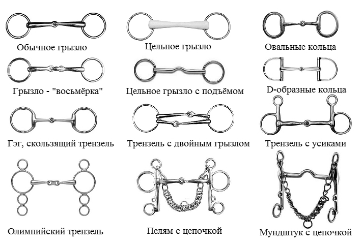 Конный гардероб. Длинно, информативно - Моё, Лошади, Конная амуниция, Видео, Вертикальное видео, Длиннопост