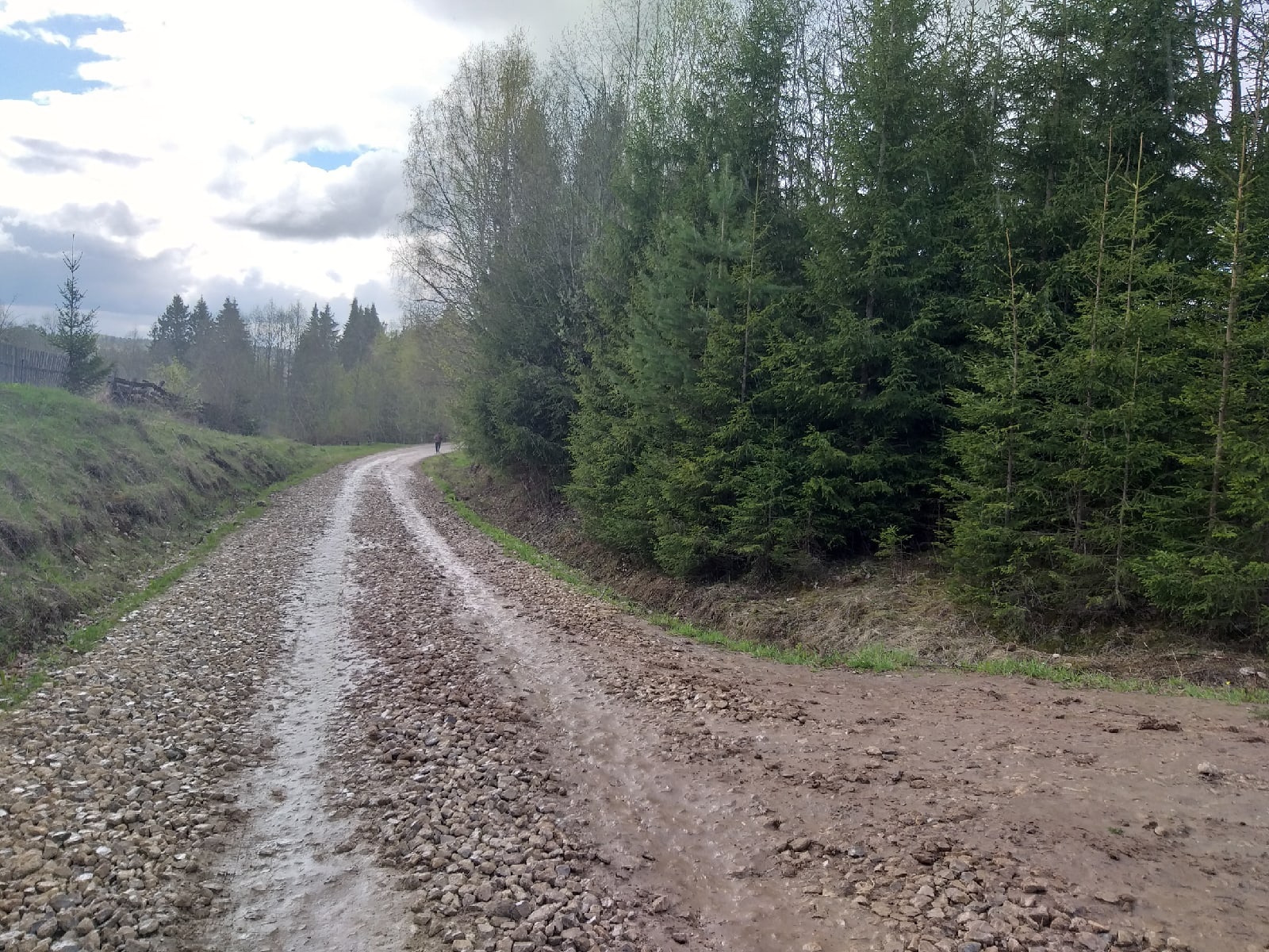 Village road along Rublyovka - My, Village, Forest, Walk, Road, beauty of nature, Rain, Longpost