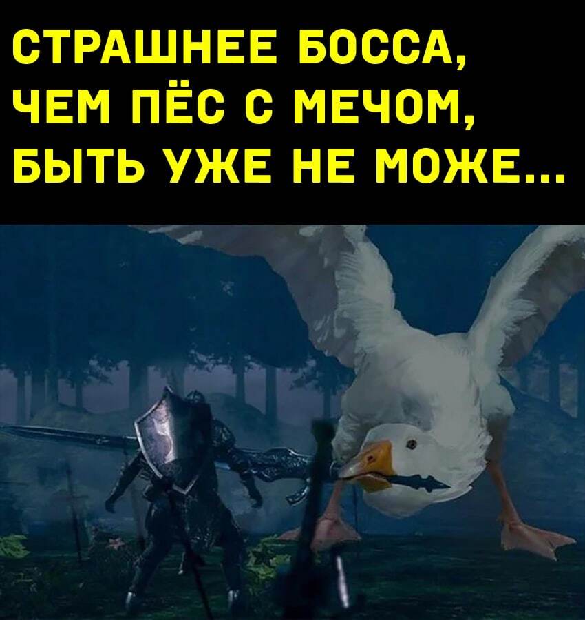 What could be scarier? - Dark souls, Гусь, Fashion, Games, Bosses in games, Humor, Picture with text