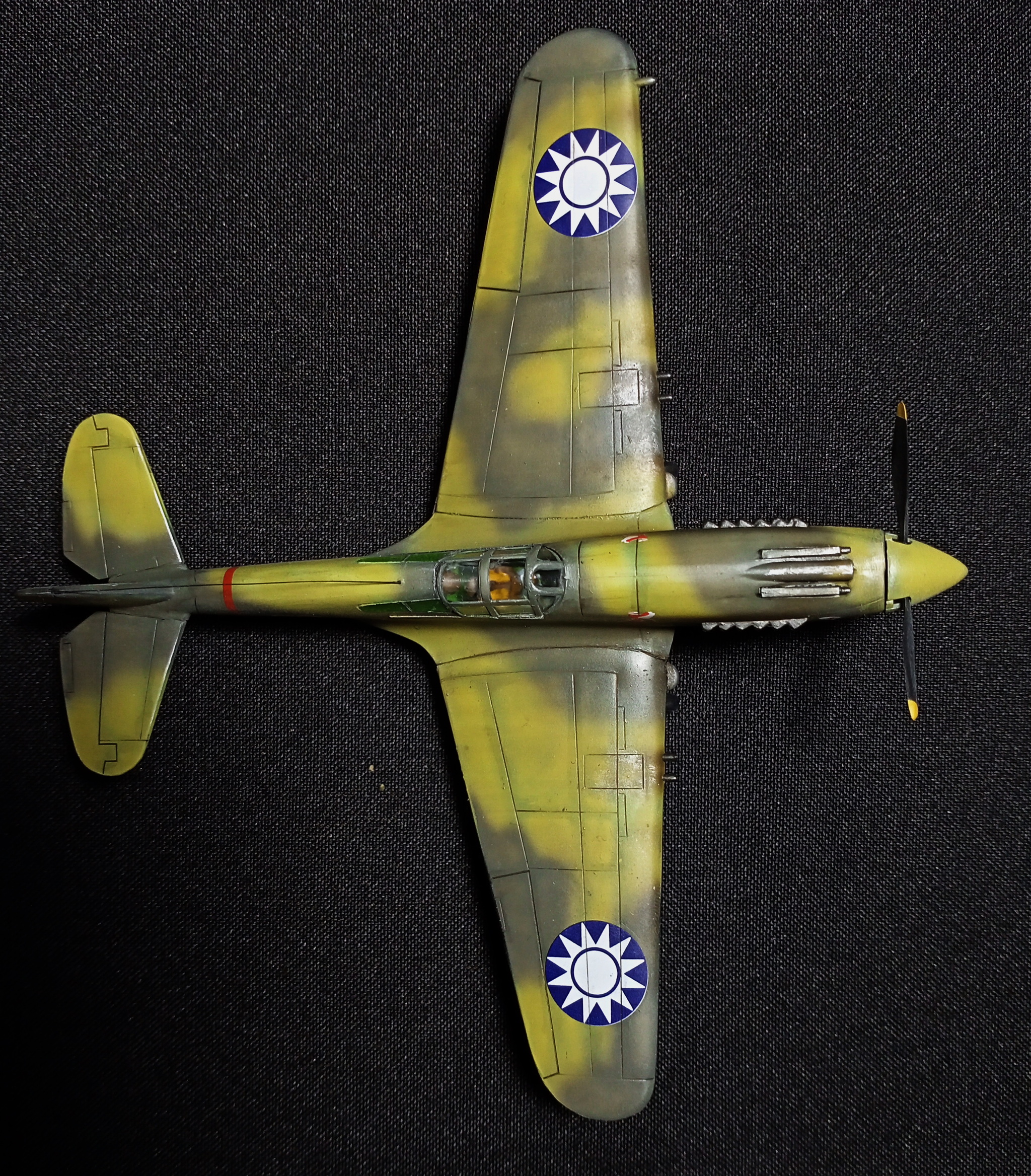 Tomahawk is flying to the rescue! - My, Modeling, Stand modeling, Prefabricated model, Aircraft modeling, Hobby, Miniature, With your own hands, Needlework without process, Aviation, Story, Airplane, The Second World War, Scale model, Collection, Collecting, USA, China, Fighter, Tomahawk, Video, Longpost