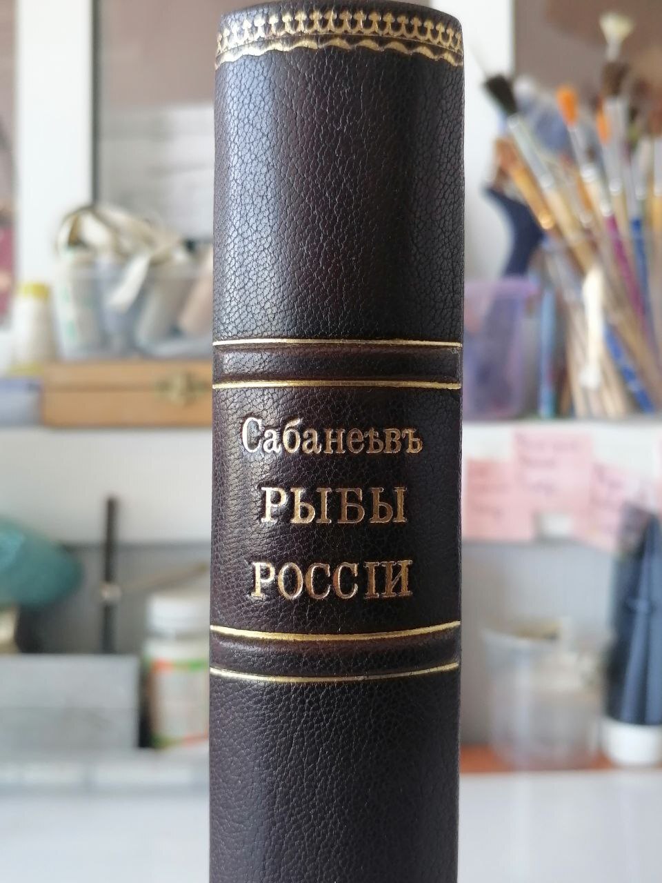 Sabaneev Fish of Russia - My, Books, Workshop, Binding, Handmade, Natural leather, Drawing, Longpost