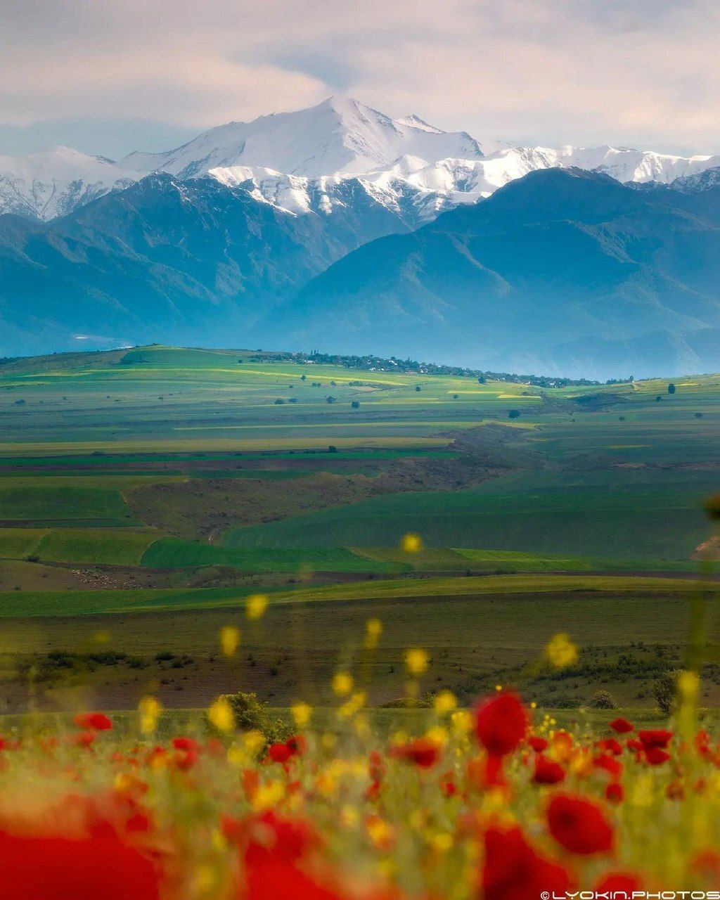 Ivanovka, Ismayilli, Azerbaijan - Poppy, The mountains, Ivanovka, Azerbaijan, beauty