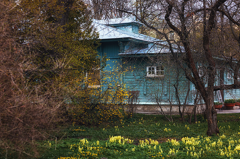 Spring in the Botanical Garden. - My, Town, The photo, Spring, Botanical Garden, Flowers, The park, Longpost